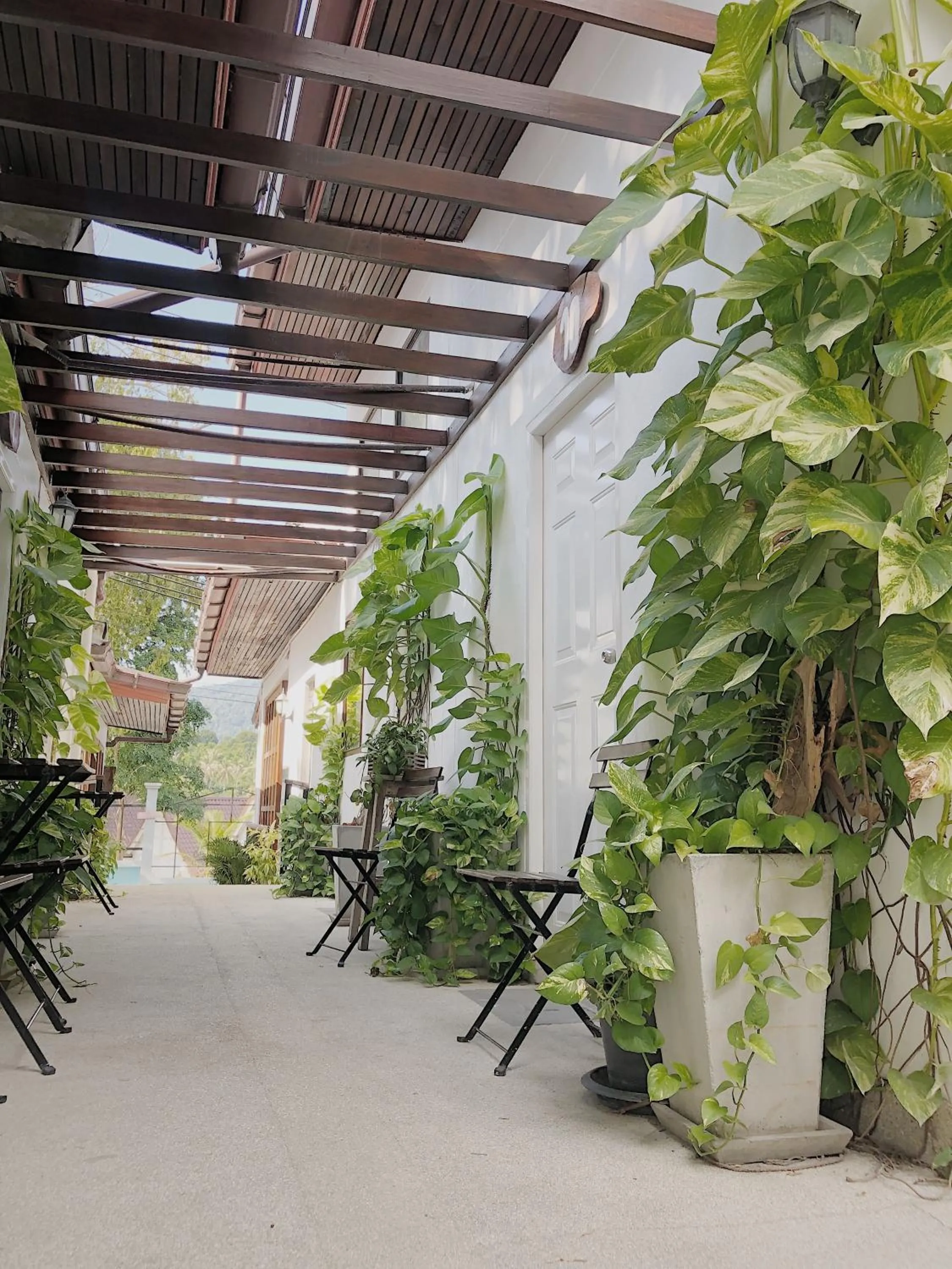 Other in The Reef Hotel & Studios