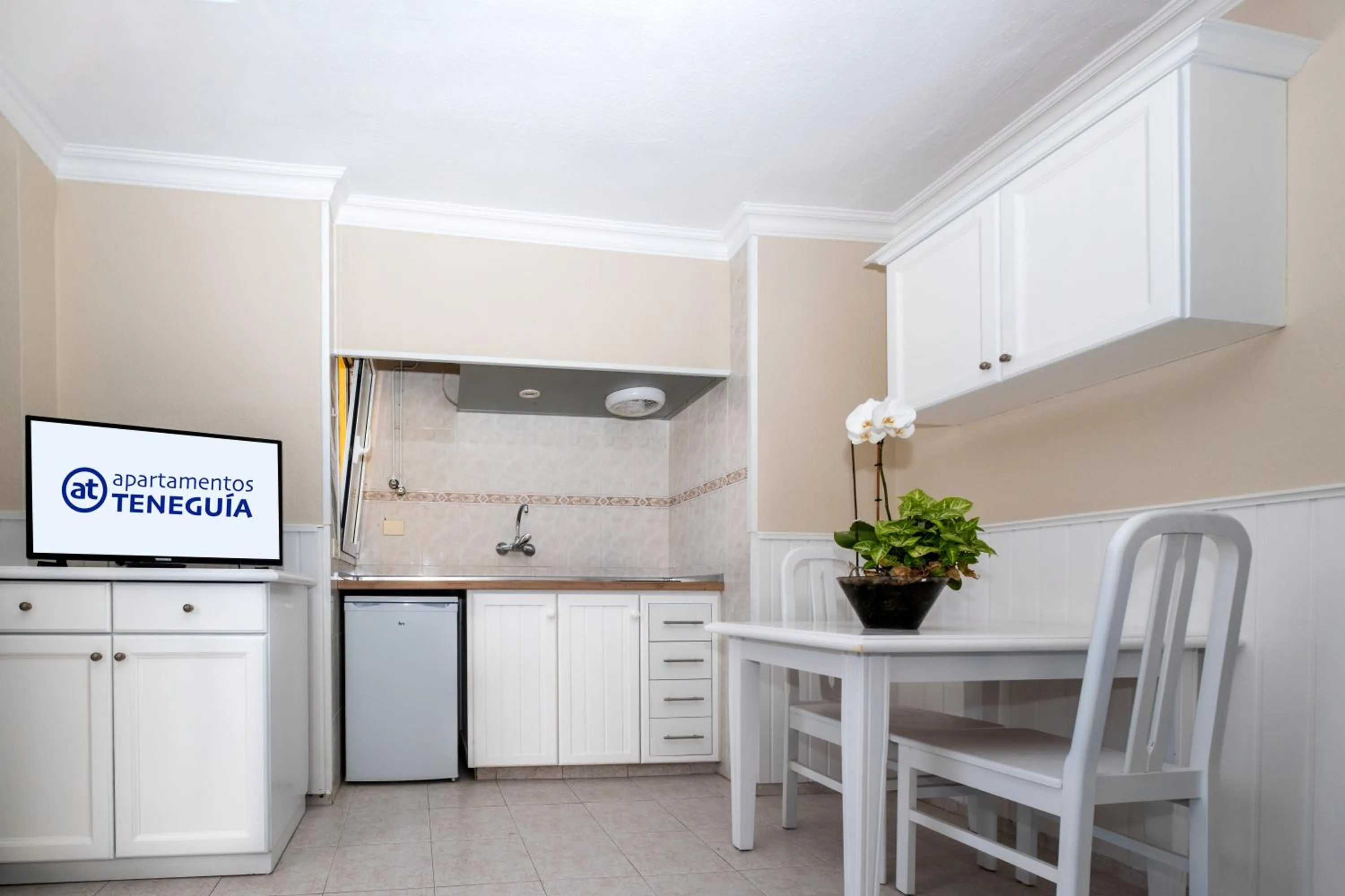 kitchen in Apartamentos Teneguia