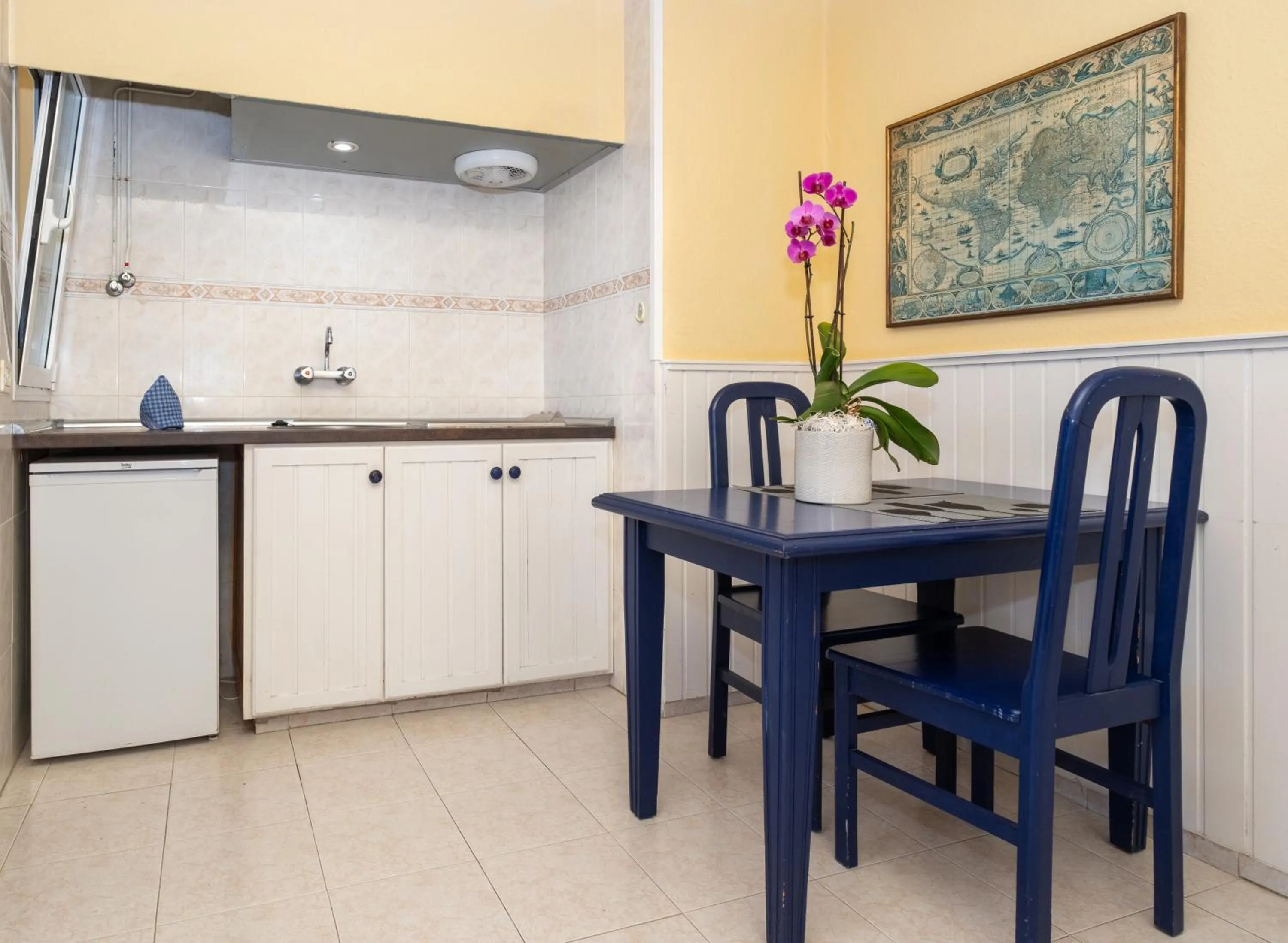 kitchen in Apartamentos Teneguia