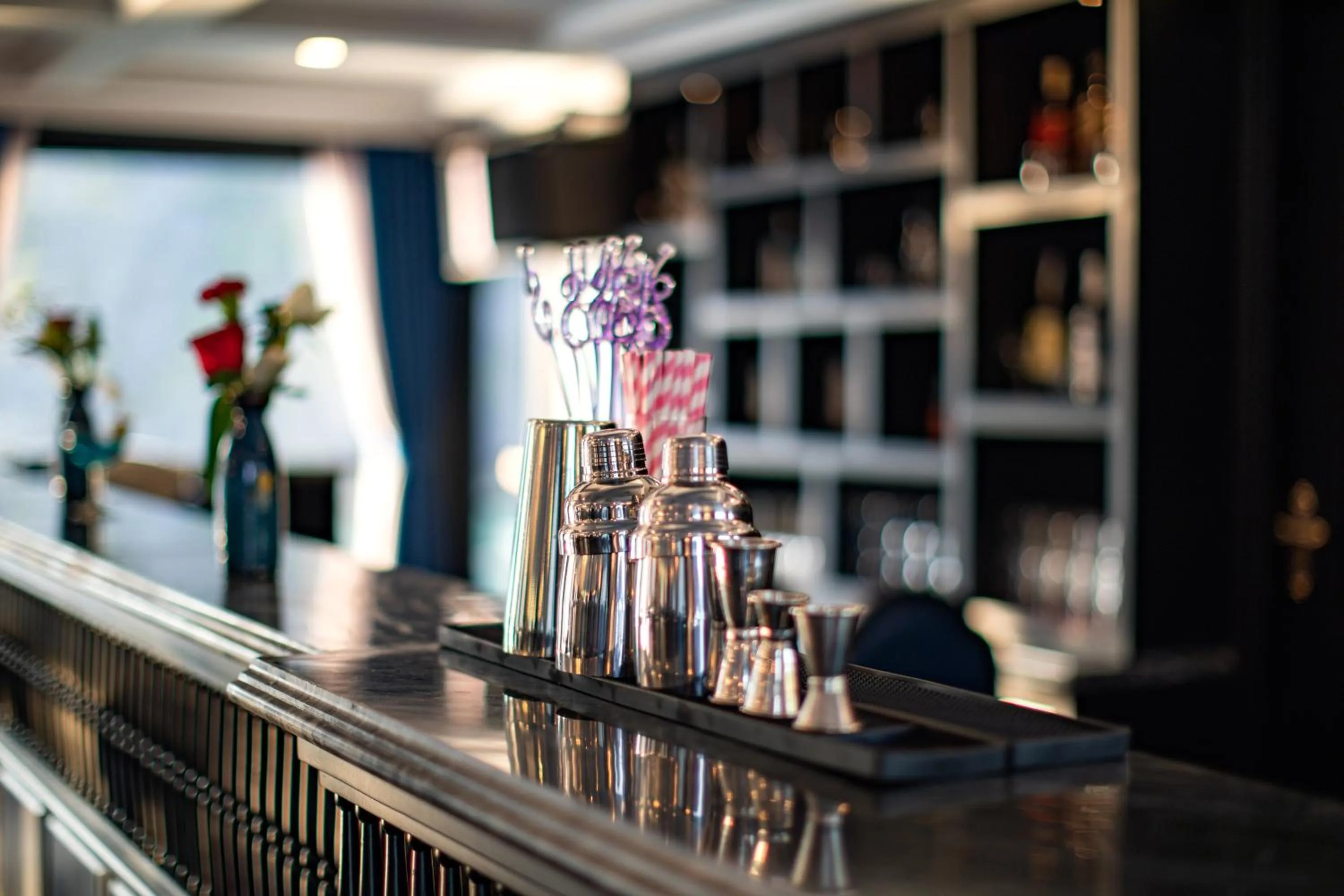 Lounge or bar in Rosy Cruises