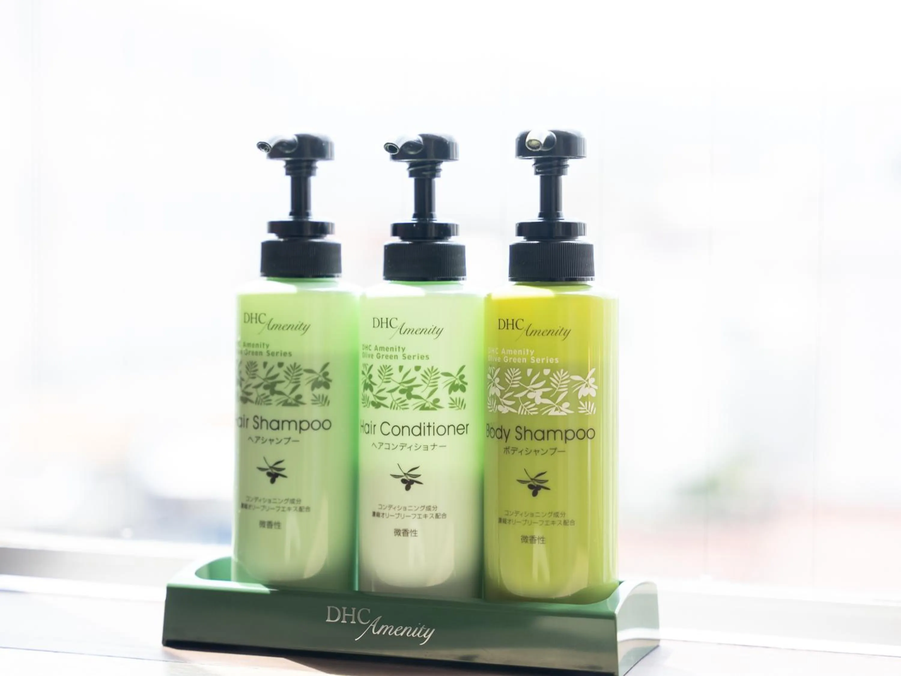 Bathroom in Tabist Kanko Business Hotel Matsuyama Hida Takayama