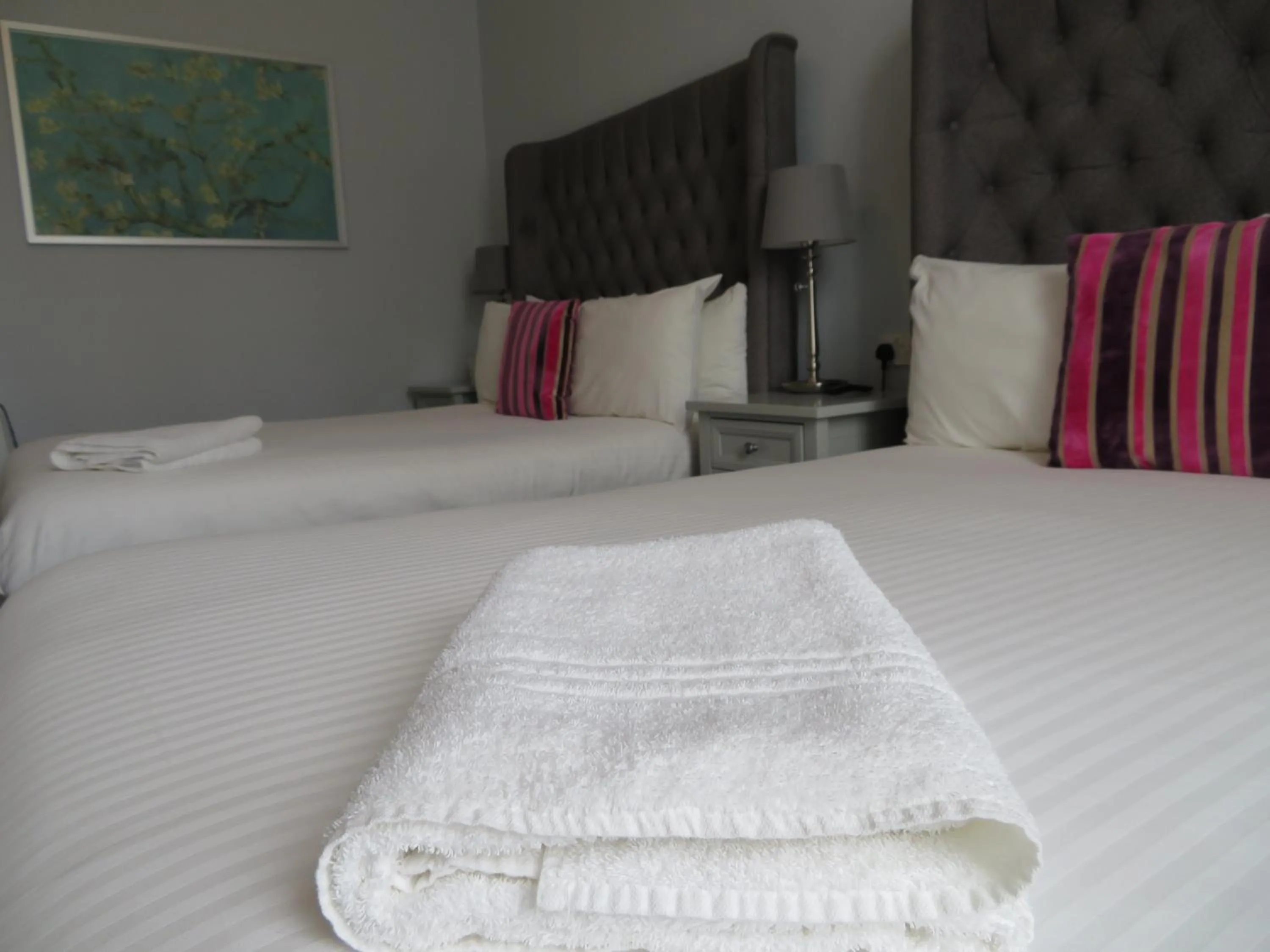 Duthus Lodge Guest House