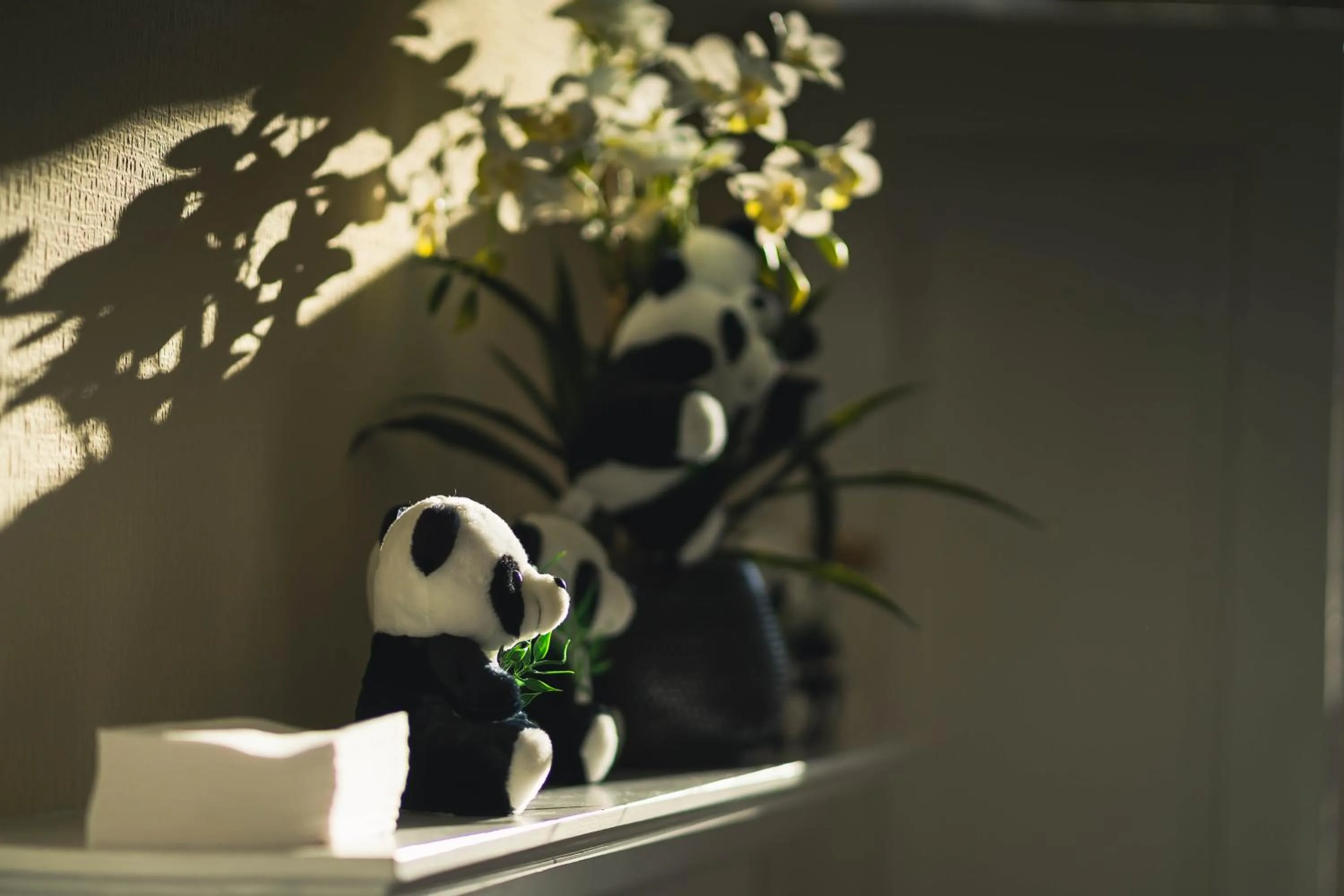 Duthus Lodge Guest House