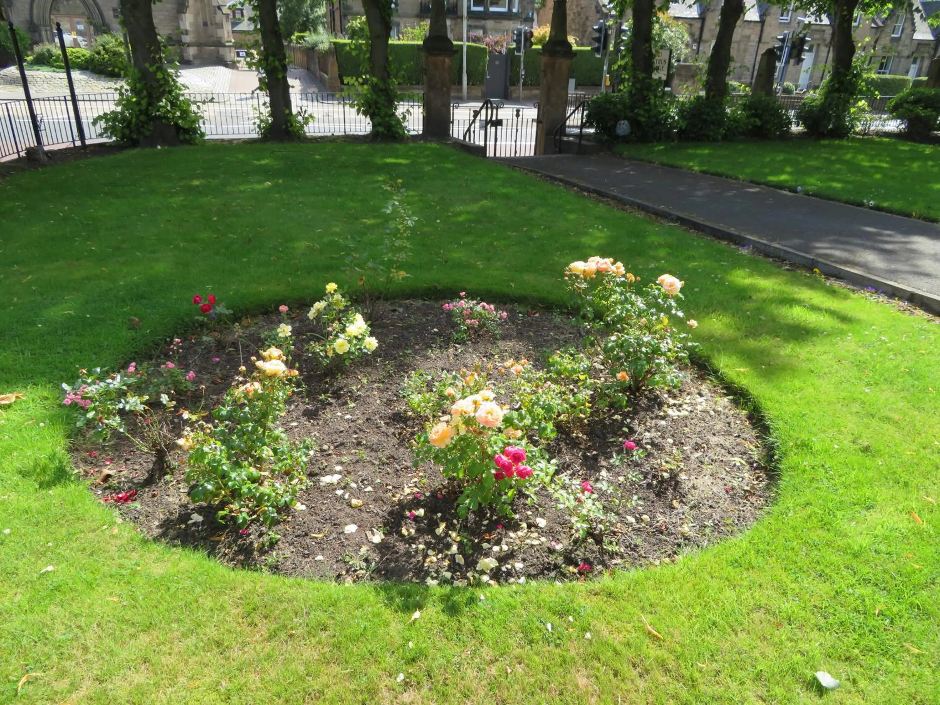 Duthus Lodge Guest House