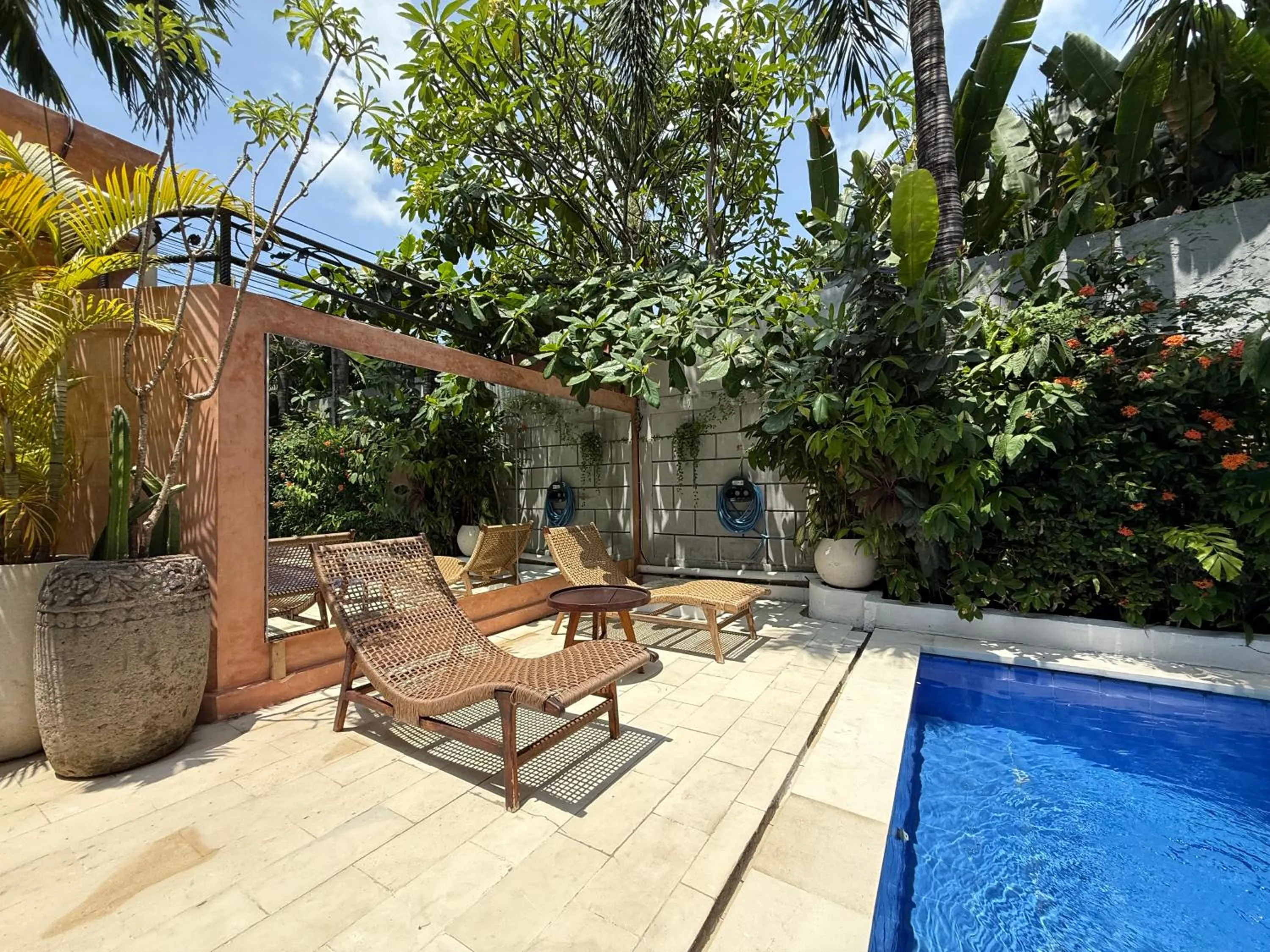 Spring in Smiling Cactus Villas