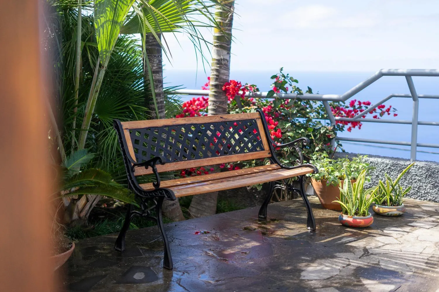 Natural landscape in Casa das Proteas