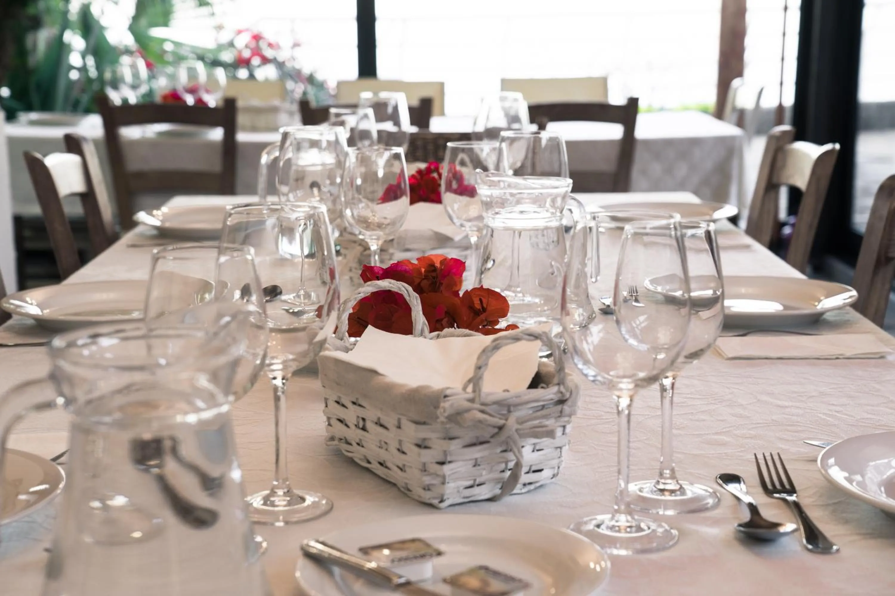 Restaurant/places to eat in Casa das Proteas