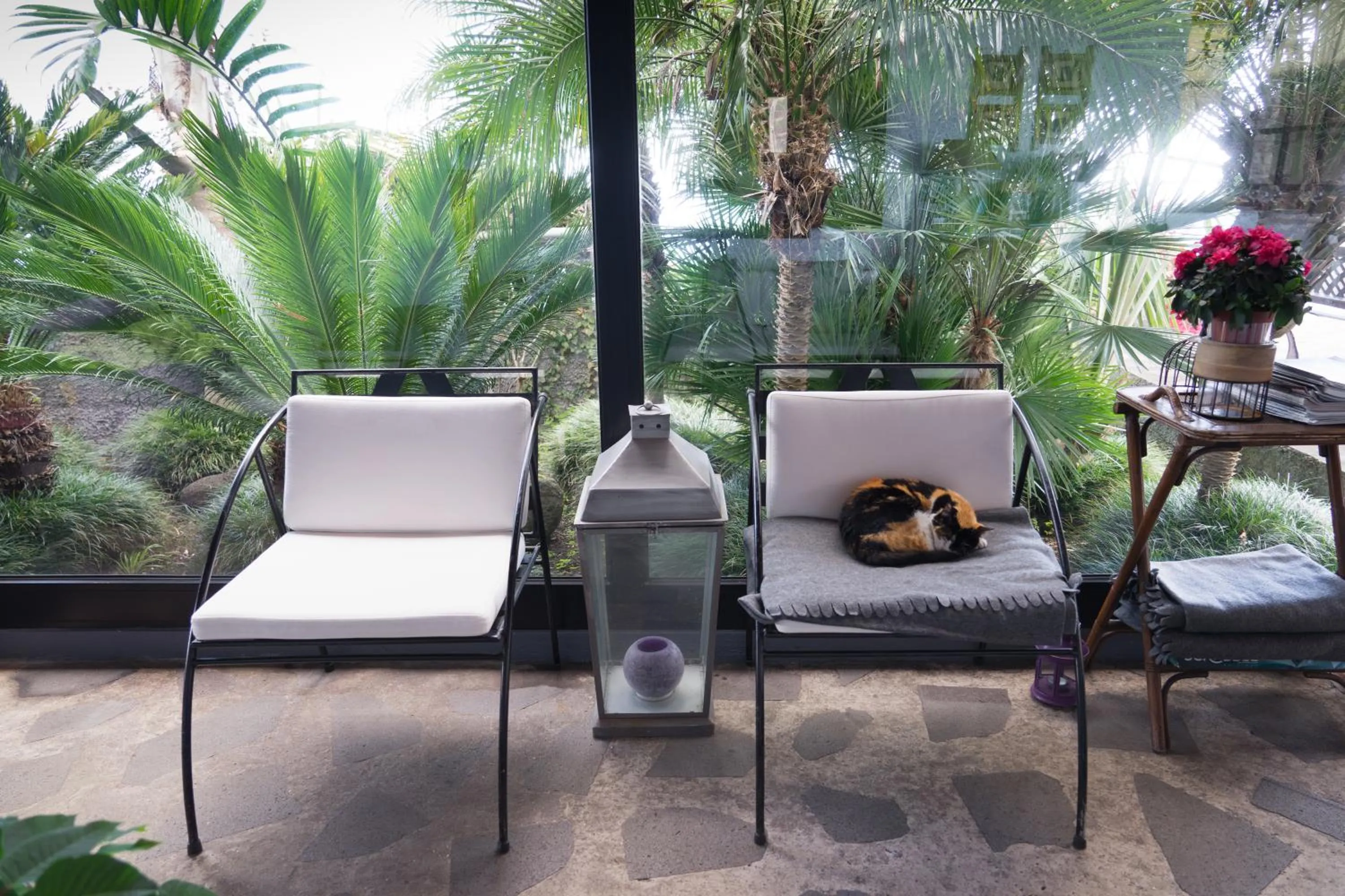 Lobby or reception in Casa das Proteas