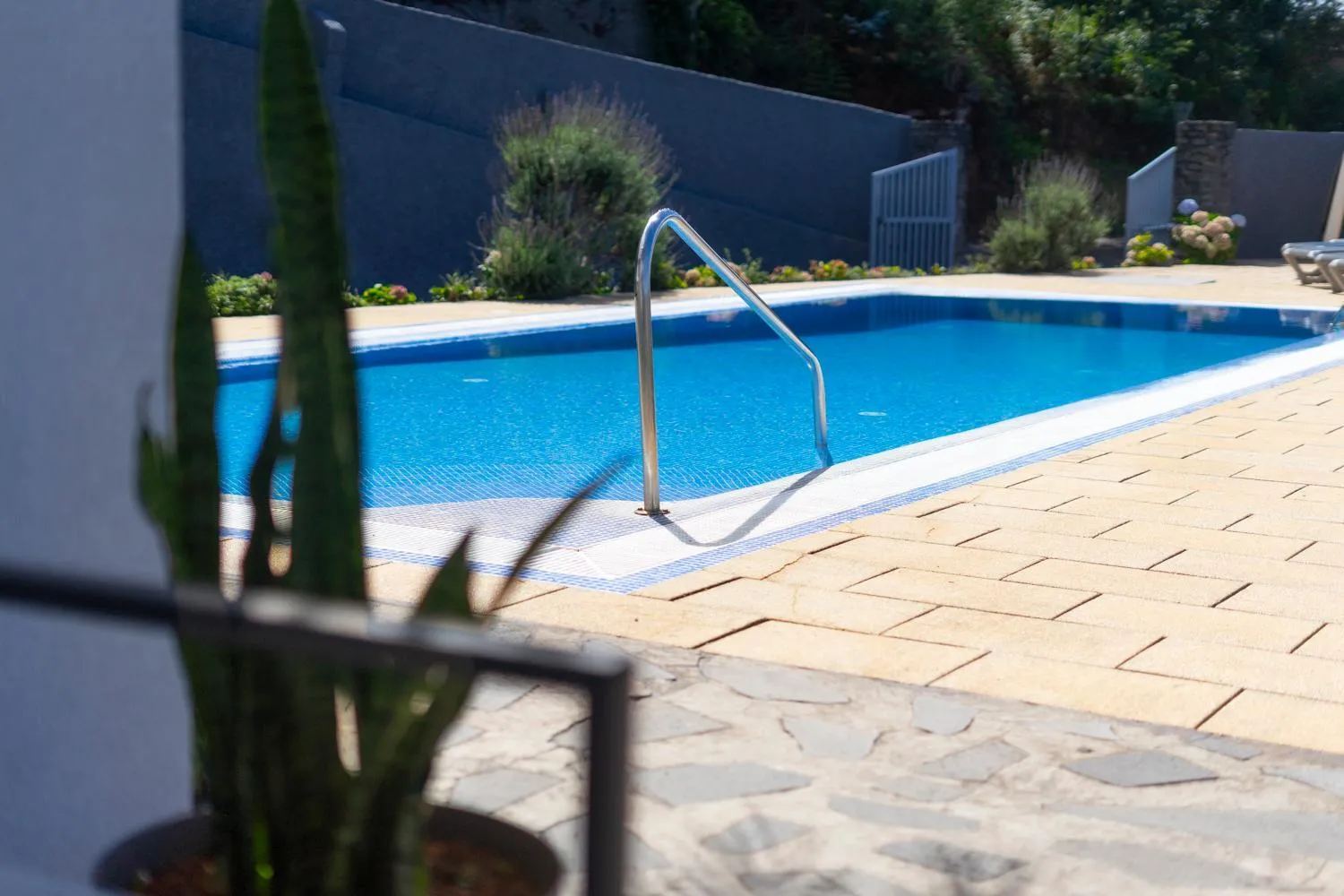 Swimming pool in Casa das Proteas