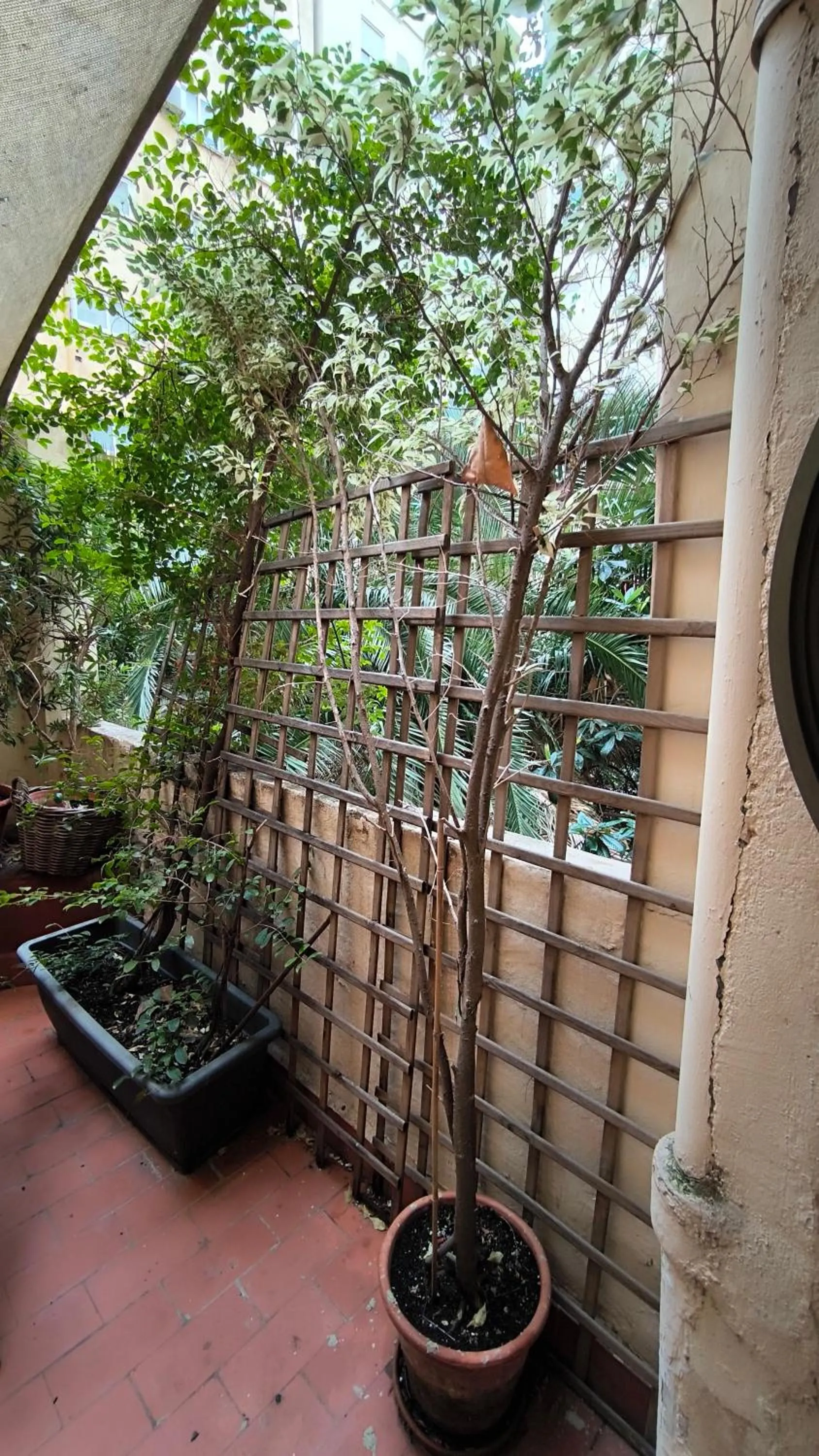 Garden in 7 Moons B&B