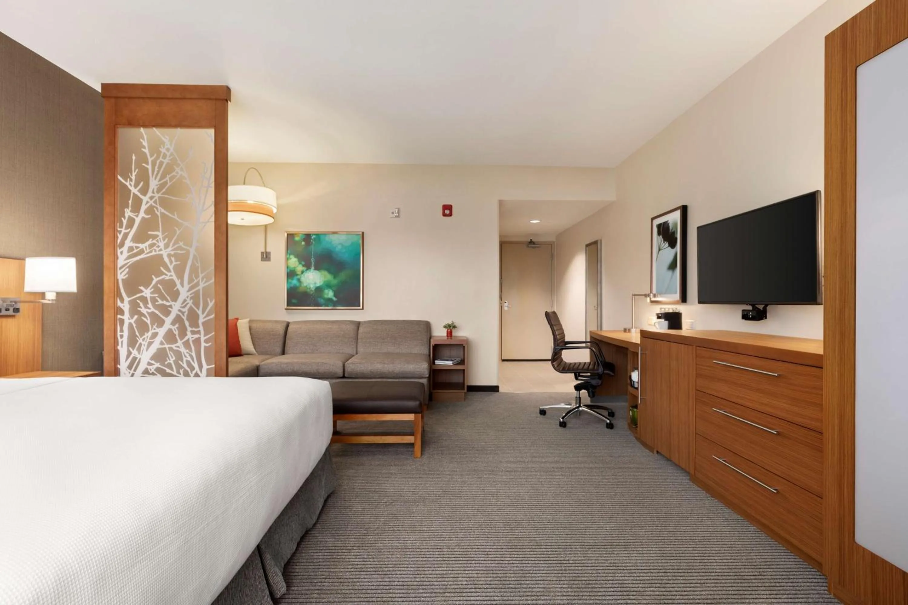 Photo of the whole room, Bed in Hyatt Place Virginia Beach Town Center