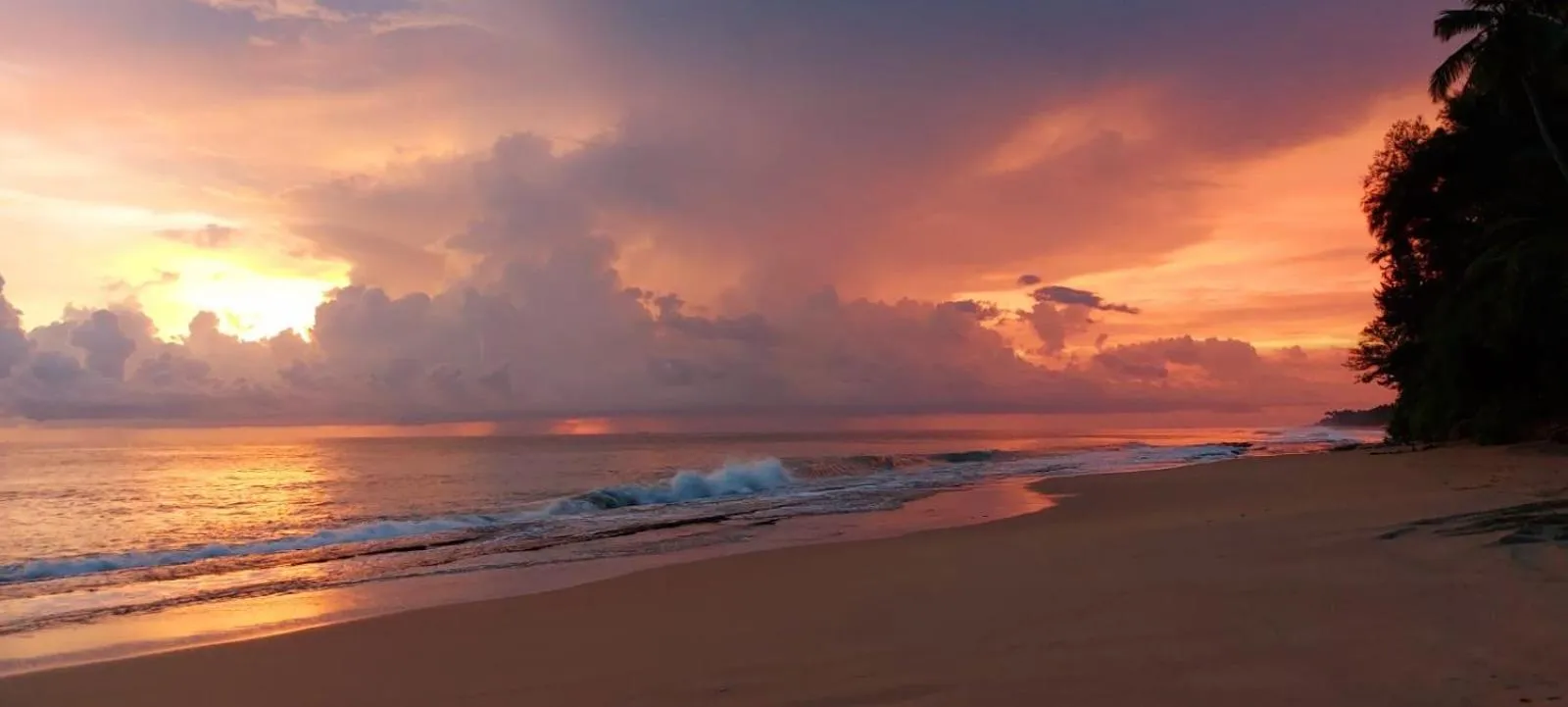 Turtle Paradise Villa