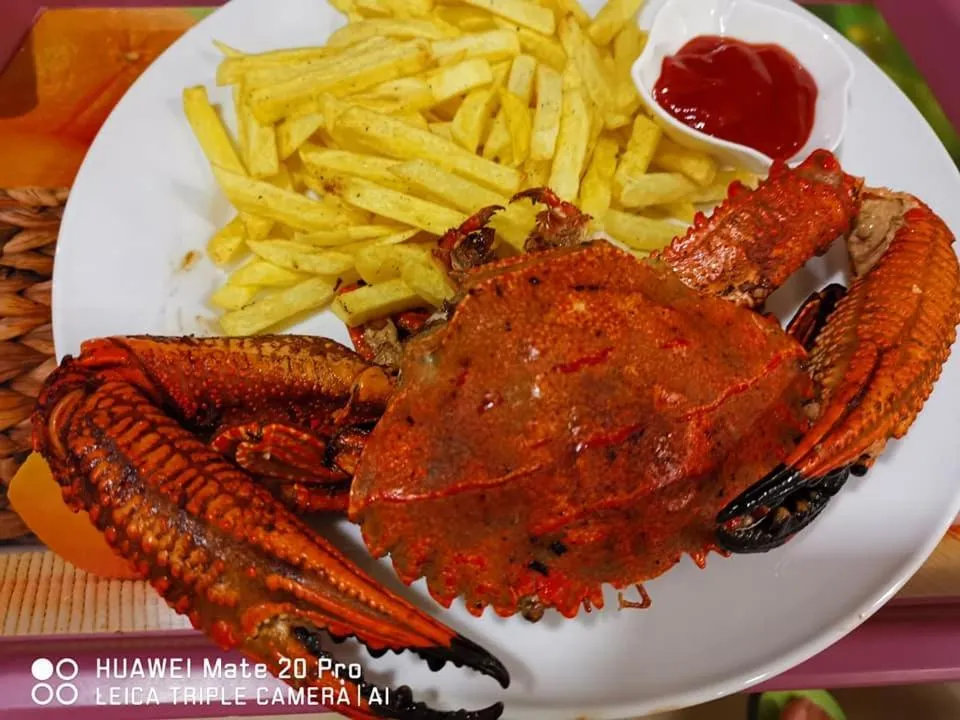 Turtle Paradise Villa