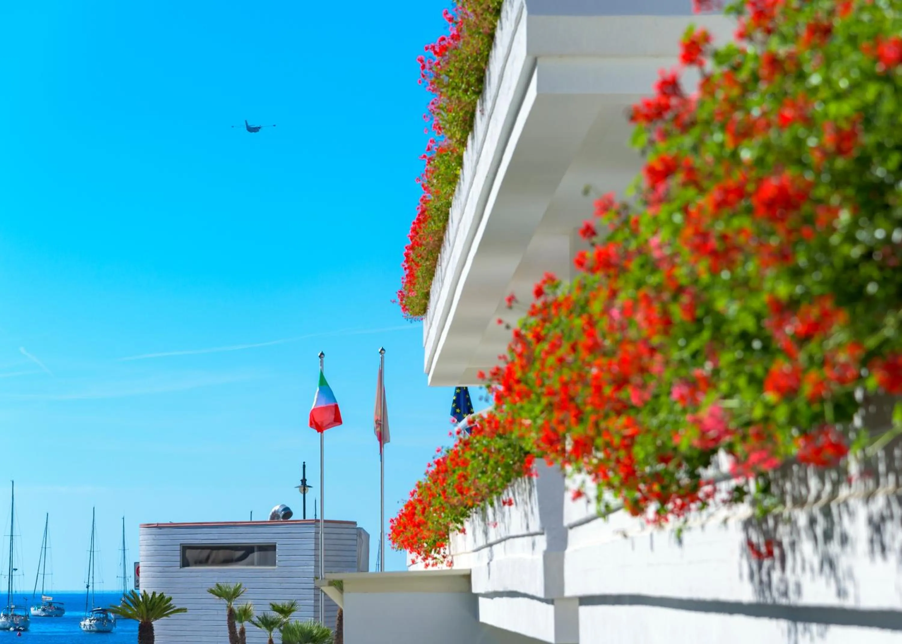 Spring in Hotel Montecristo