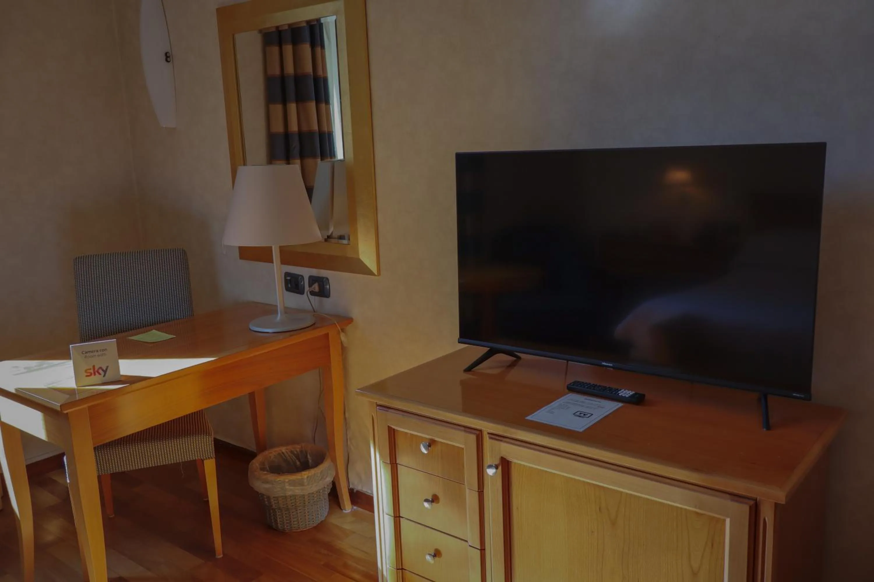 TV and multimedia in Monica Hotel Fiera