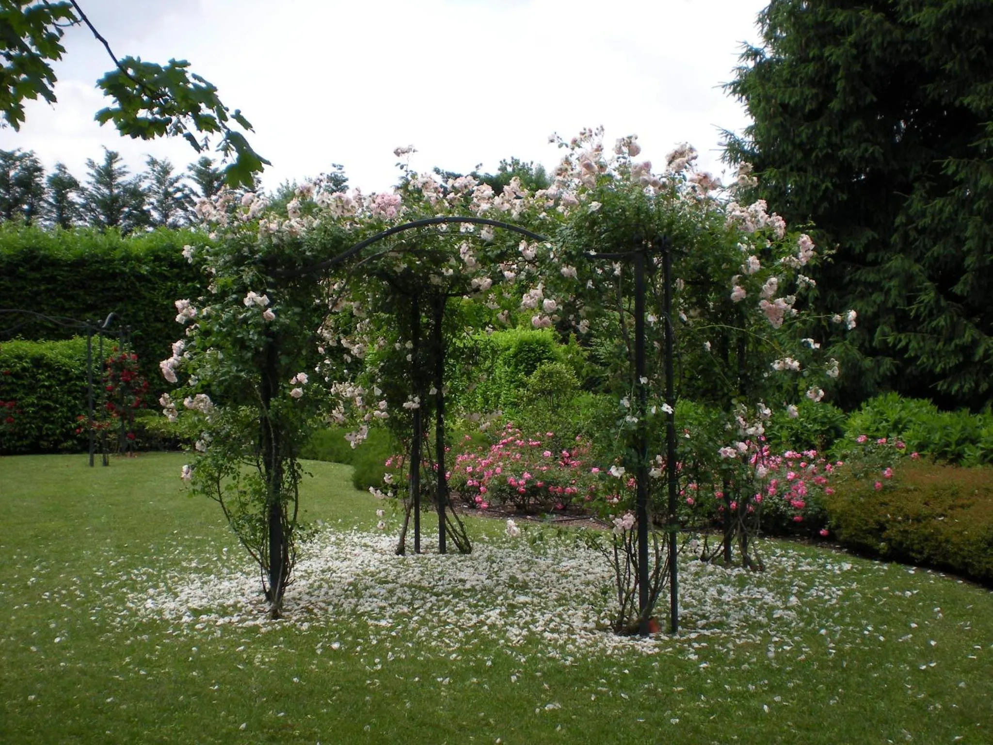 Facade/entrance in Monica Hotel Fiera