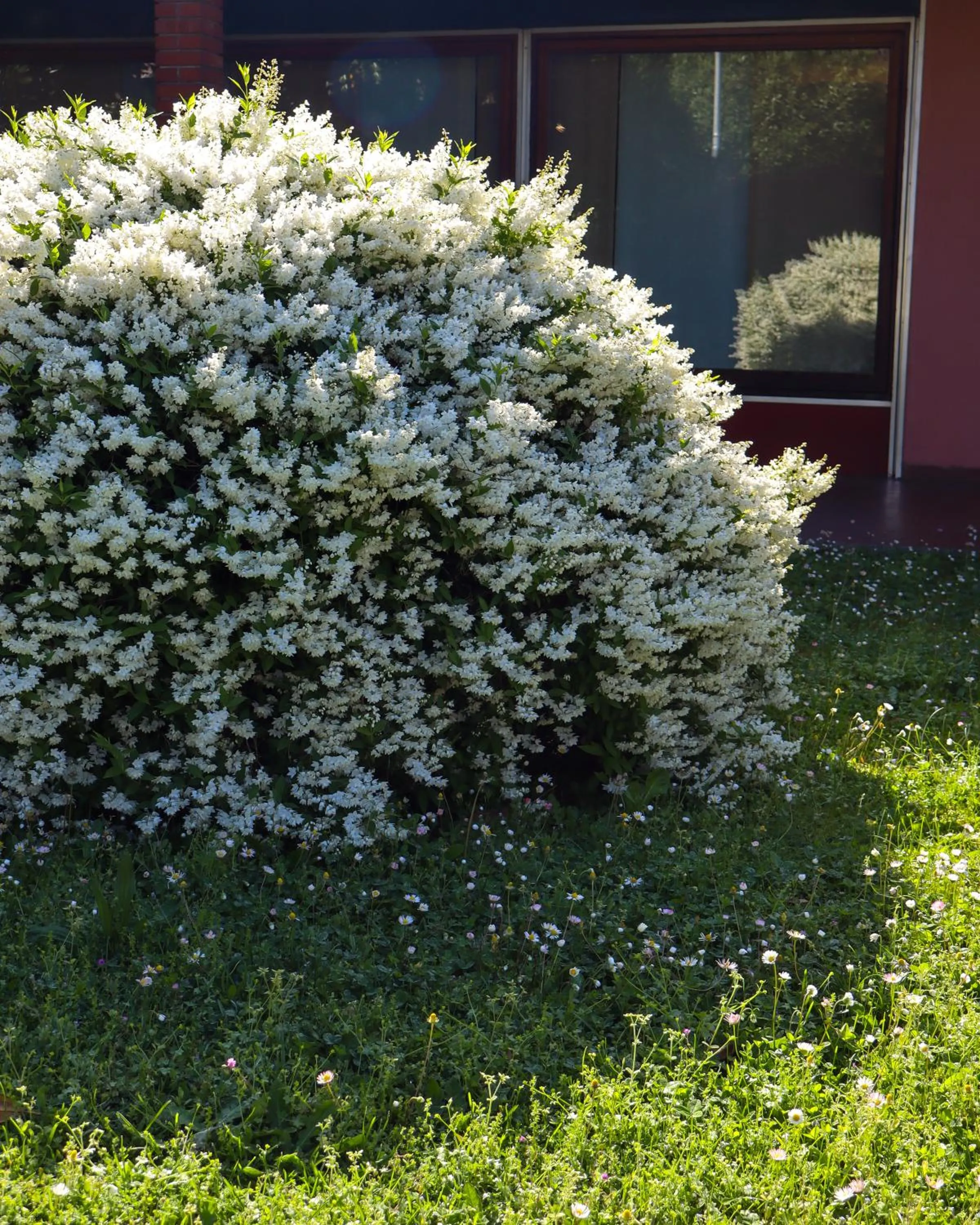 Garden in Monica Hotel Fiera