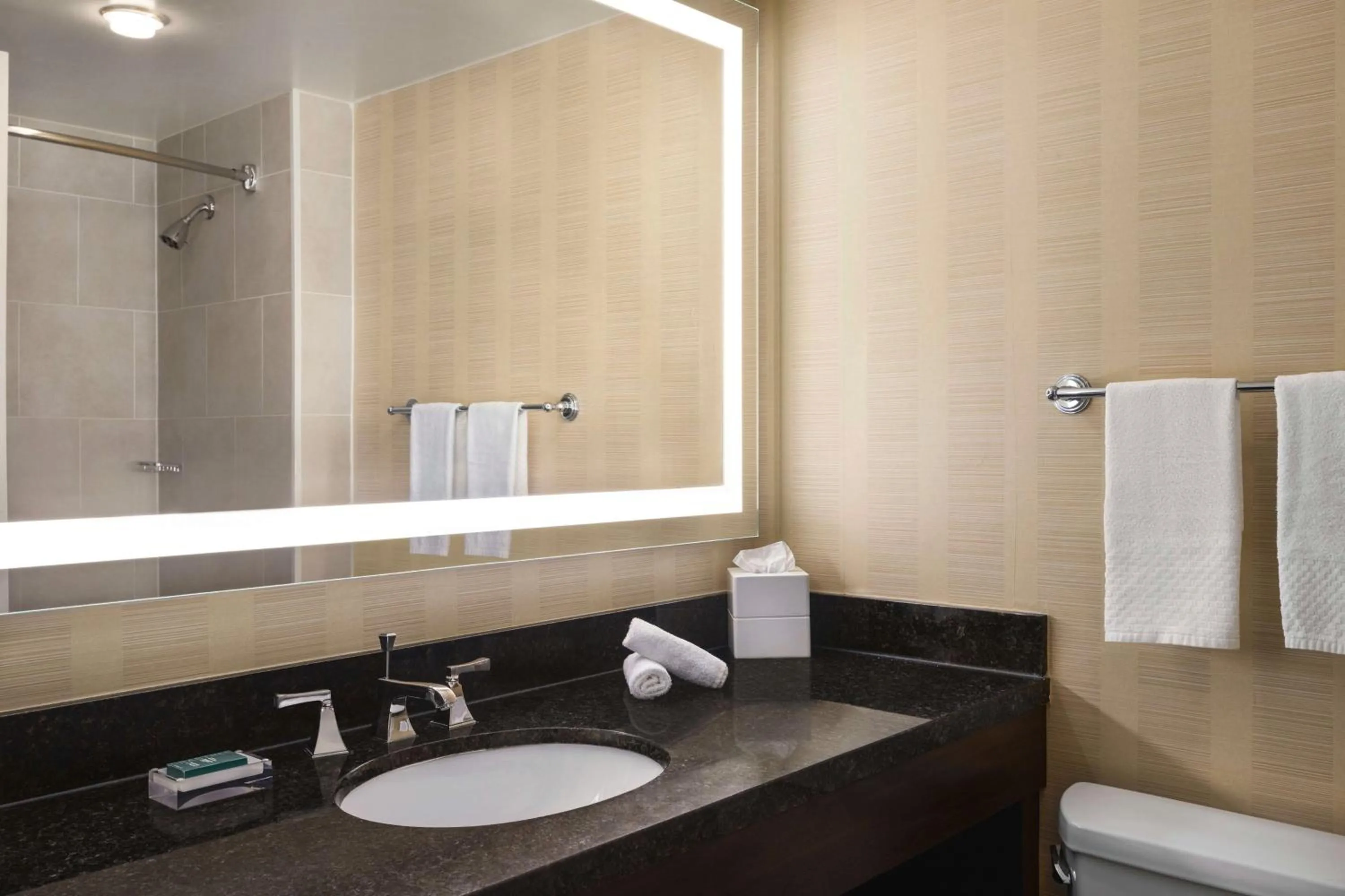 Bathroom in Hilton Tampa Downtown