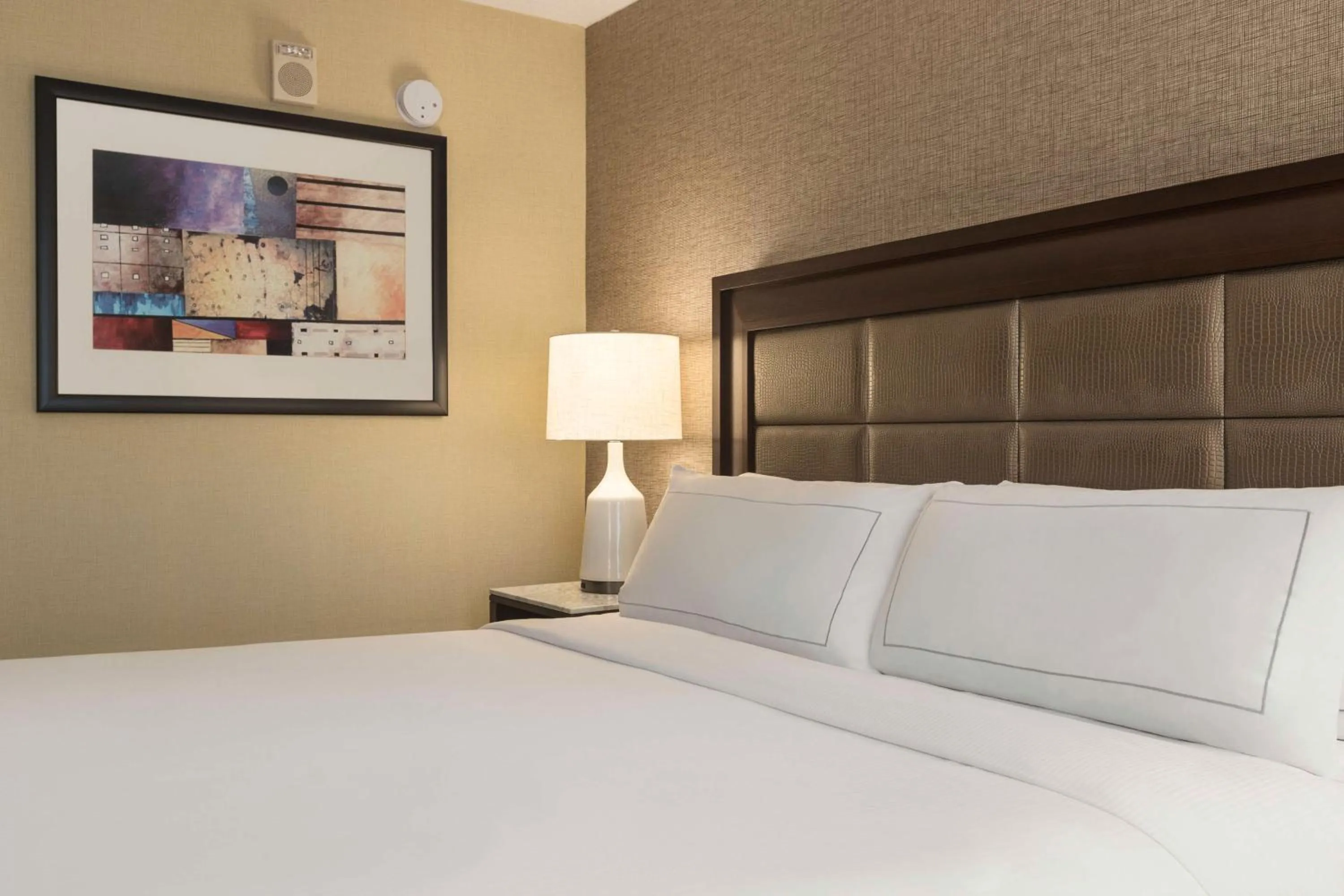 Bed in Hilton Tampa Downtown