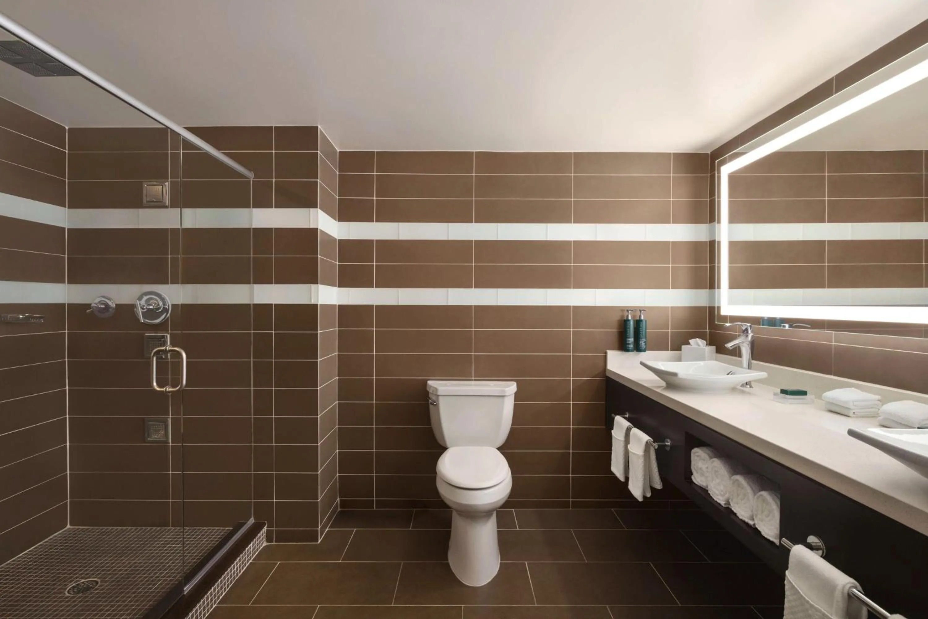 Bathroom in Hilton Tampa Downtown