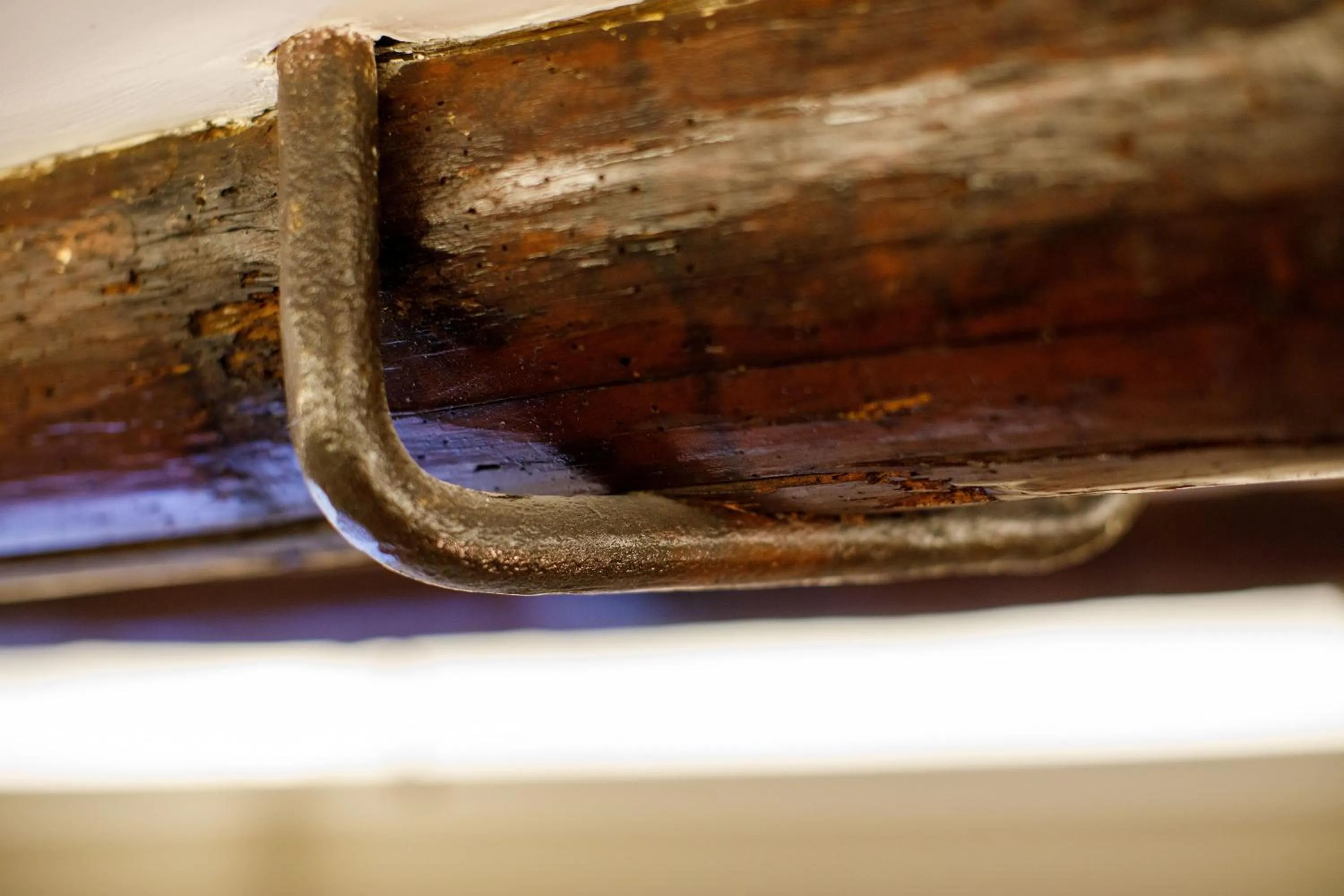 Decorative detail in MelRose Napoli