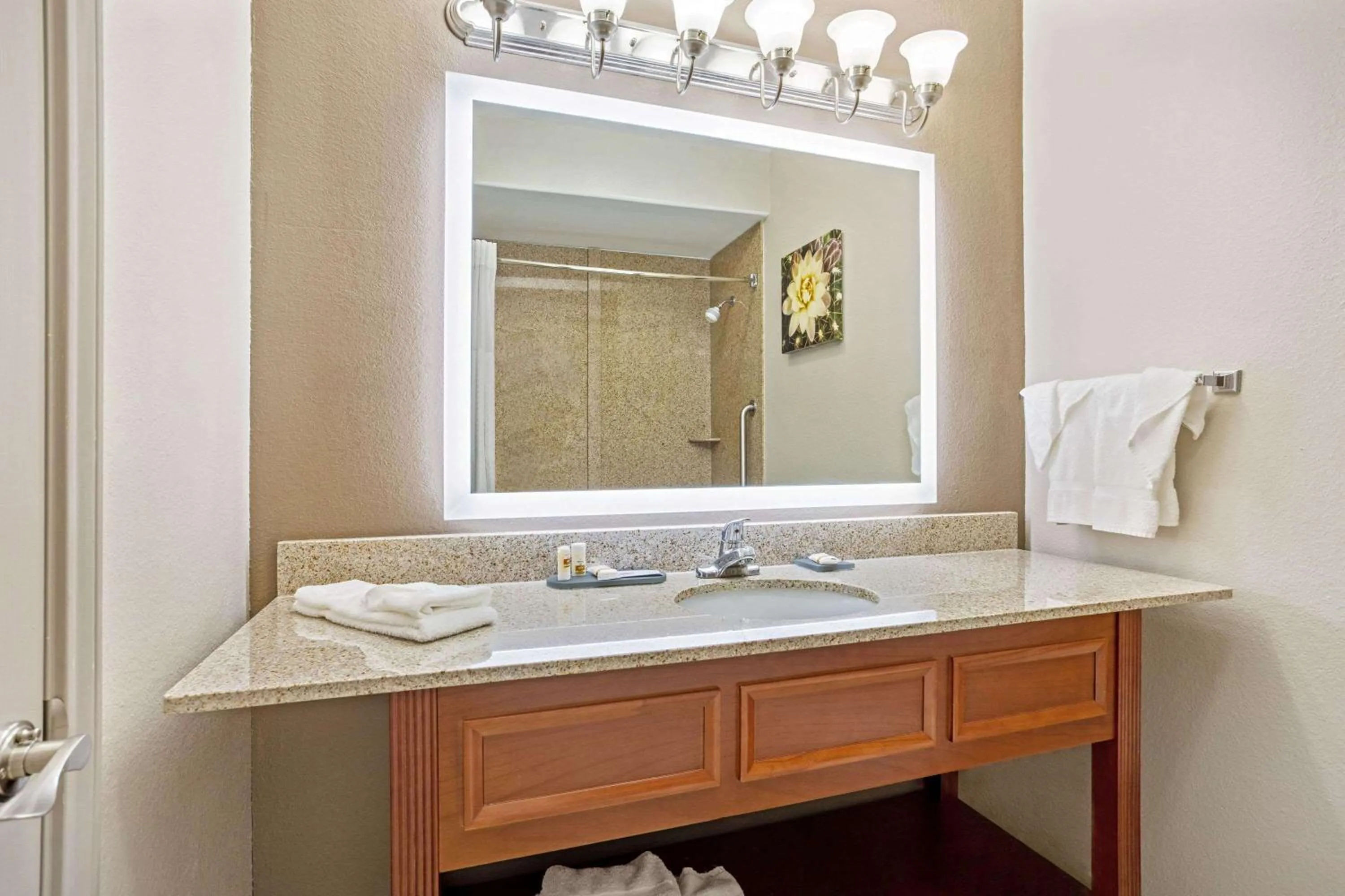 Bathroom in La Quinta by Wyndham Fairfield TX