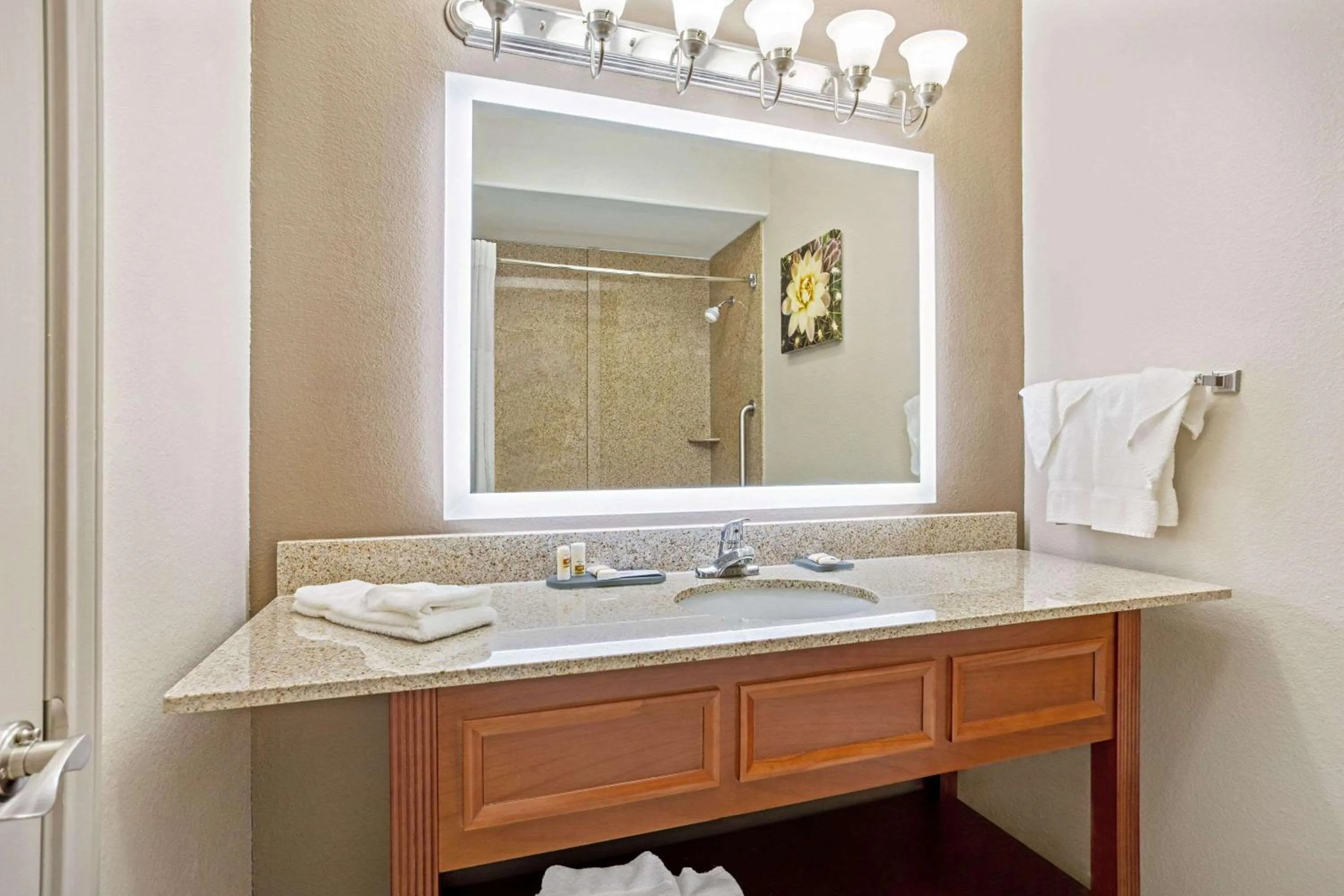 Bathroom in La Quinta by Wyndham Fairfield TX