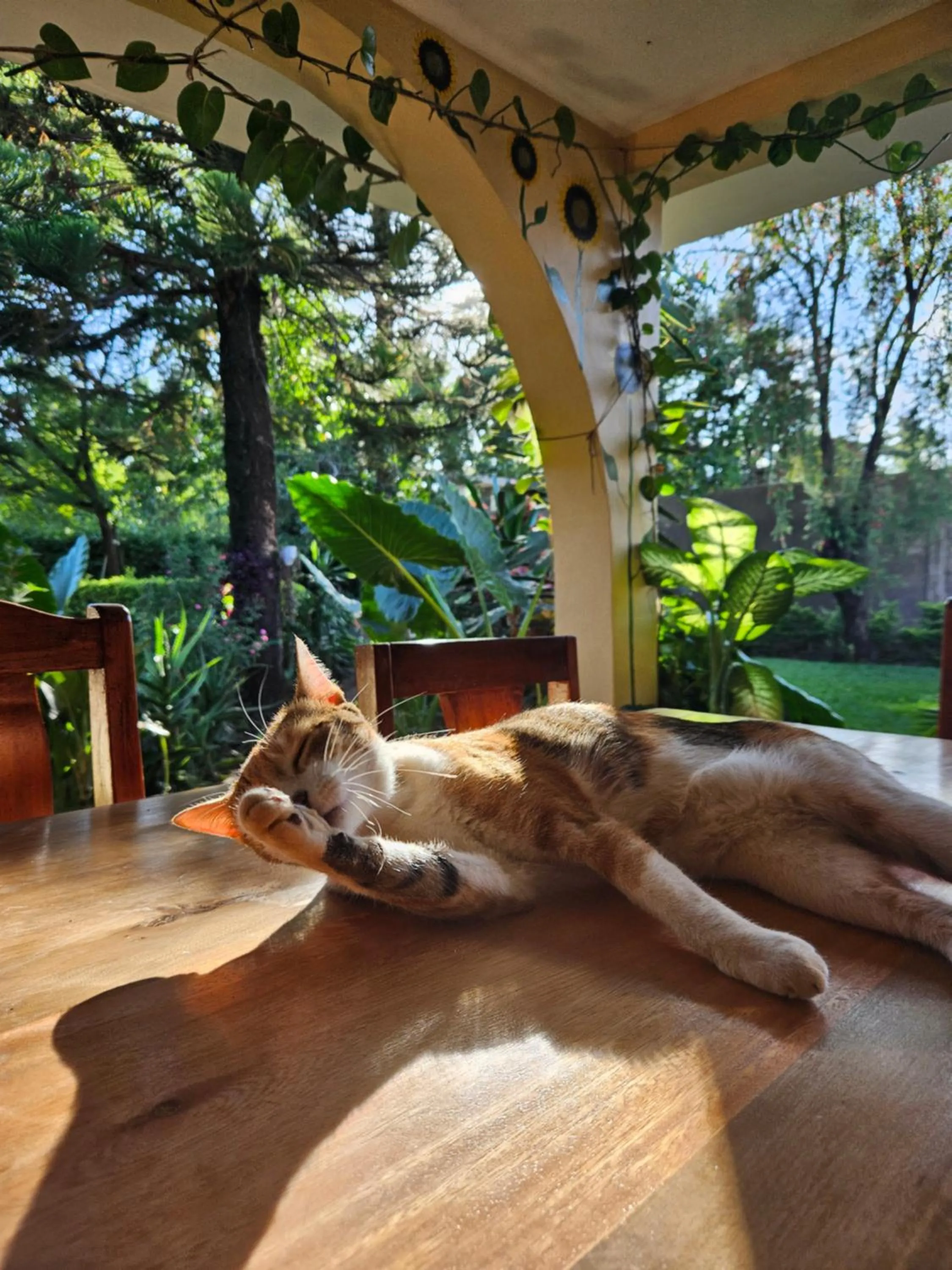 Animals in Kiwavi Home