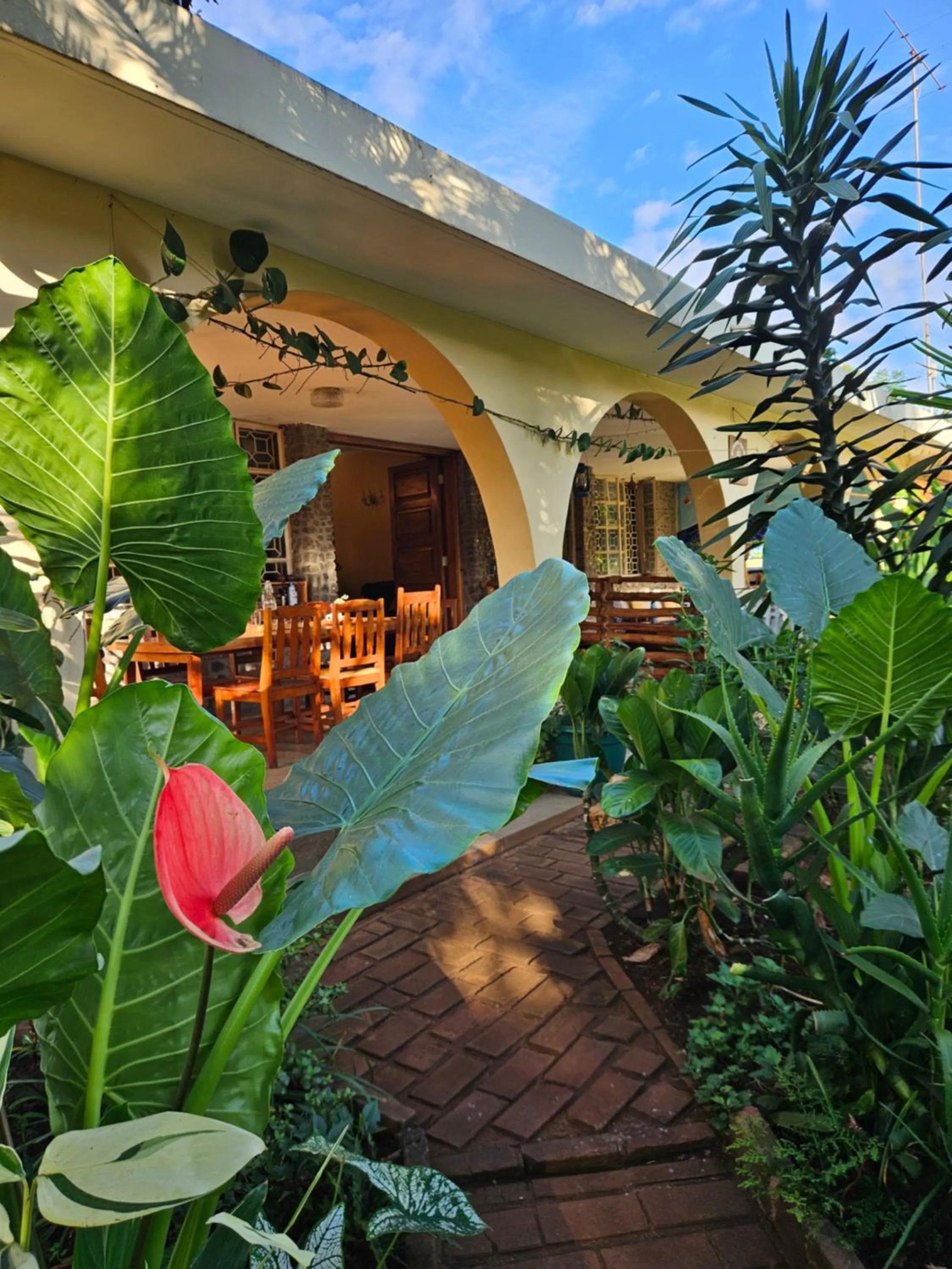 Property building in Kiwavi Home