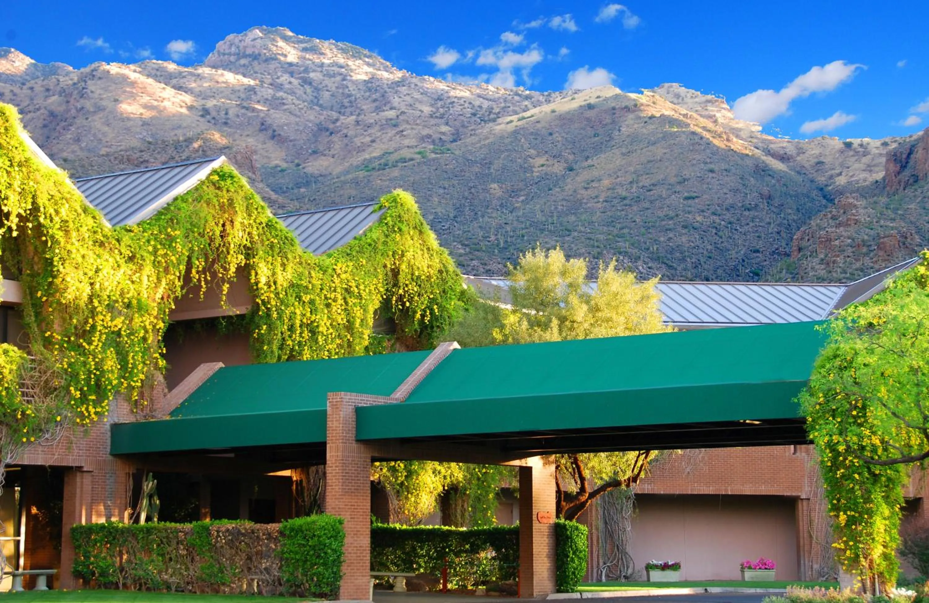 Property building in Ventana Canyon Club and Lodge