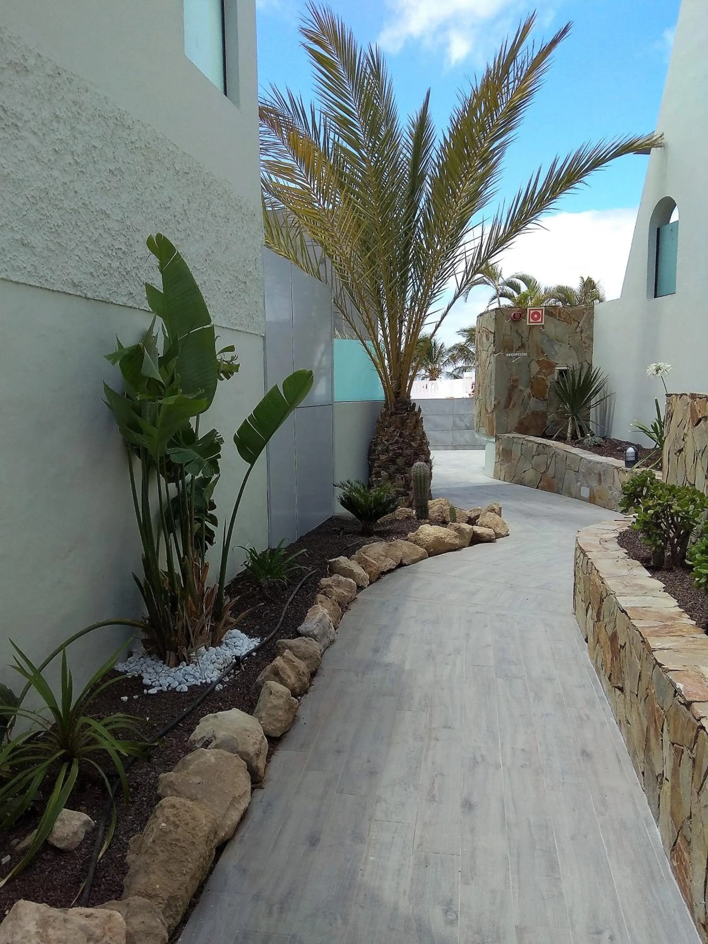 Garden in Apartamentos Garden & Sea Boutique Lodging by LIVVO