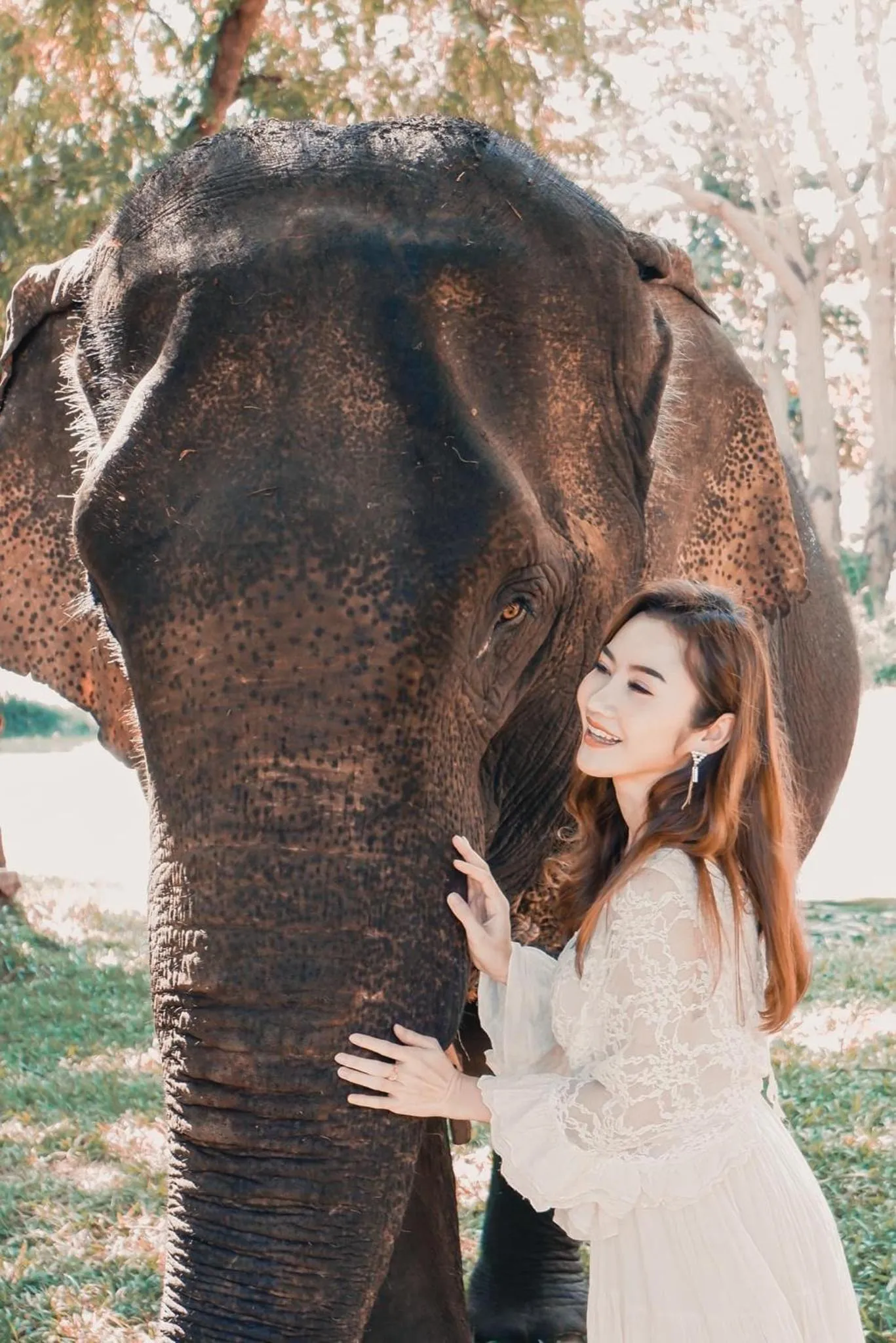 Sappraiwan Elephant Resort & Sanctuary