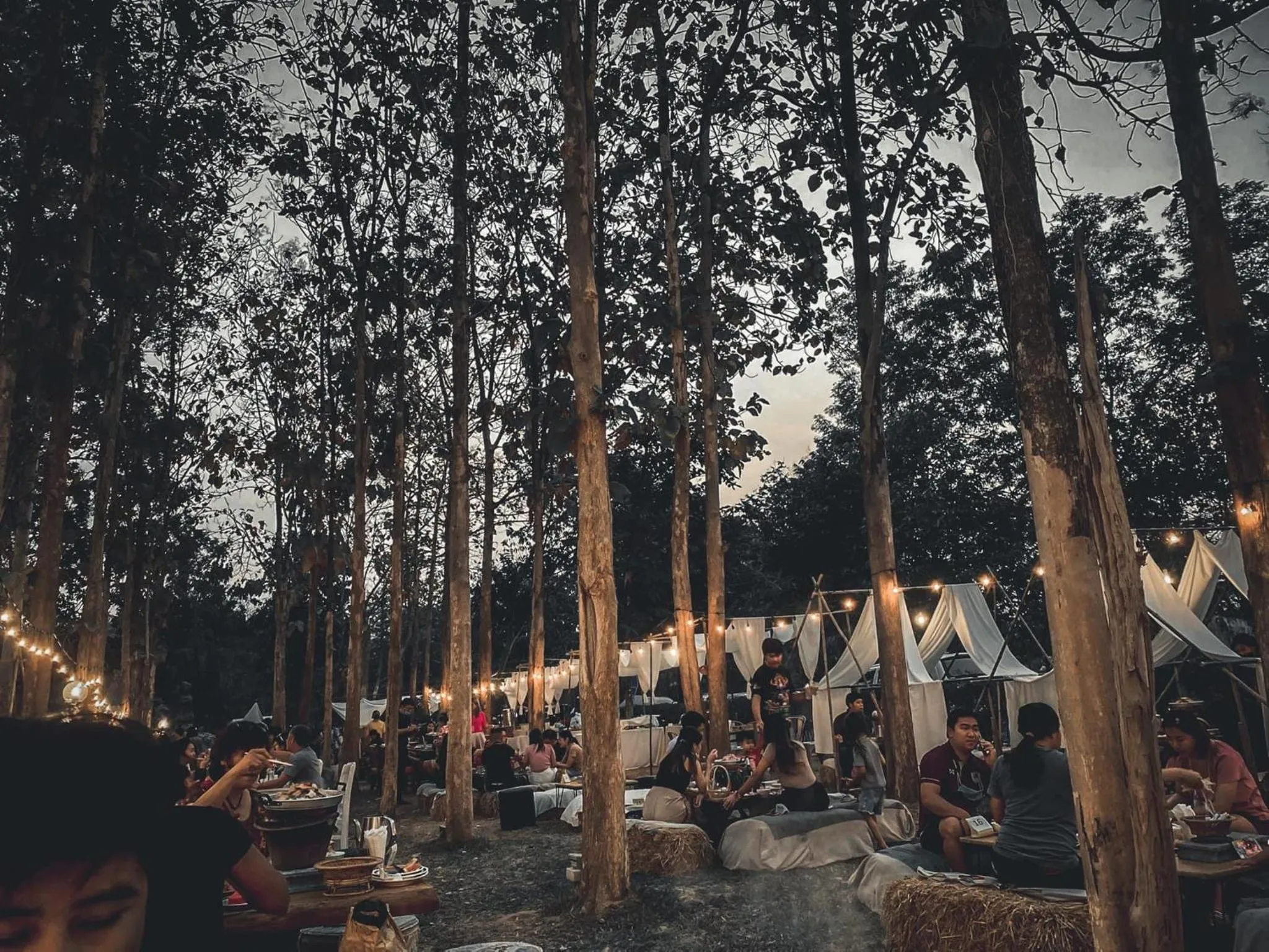 Sappraiwan Elephant Resort & Sanctuary