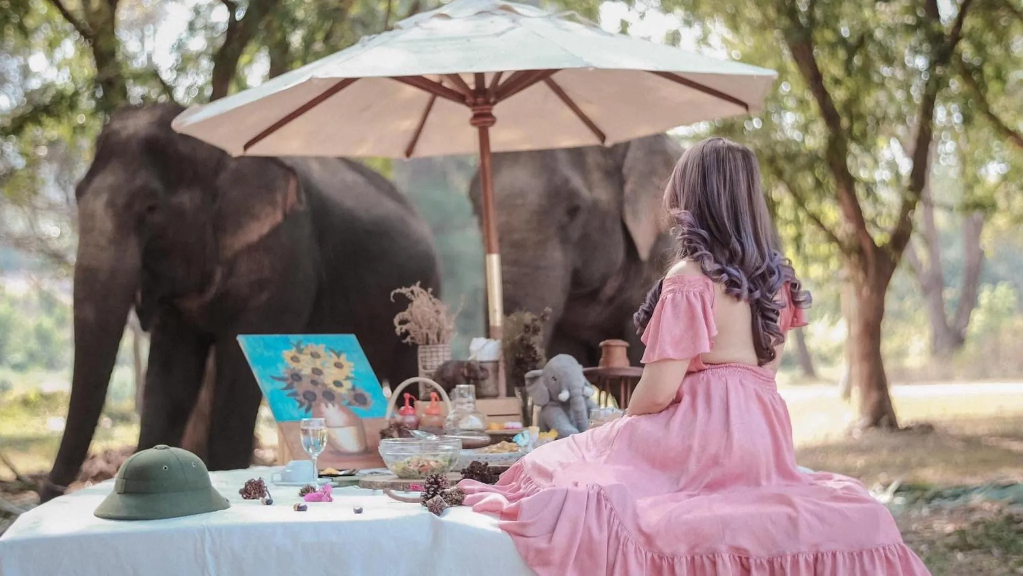 Activities in Sappraiwan Elephant Resort & Sanctuary