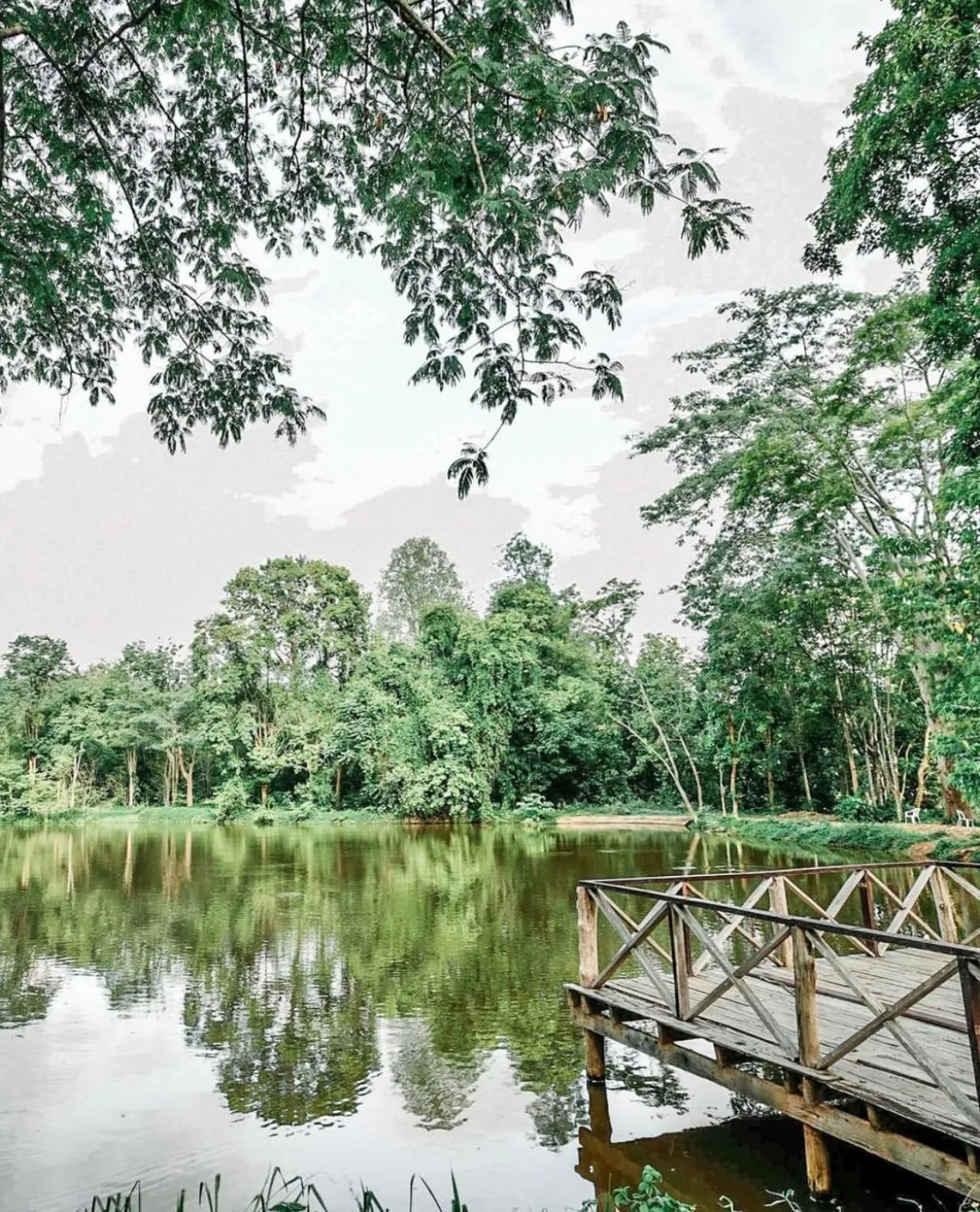 Sappraiwan Elephant Resort & Sanctuary