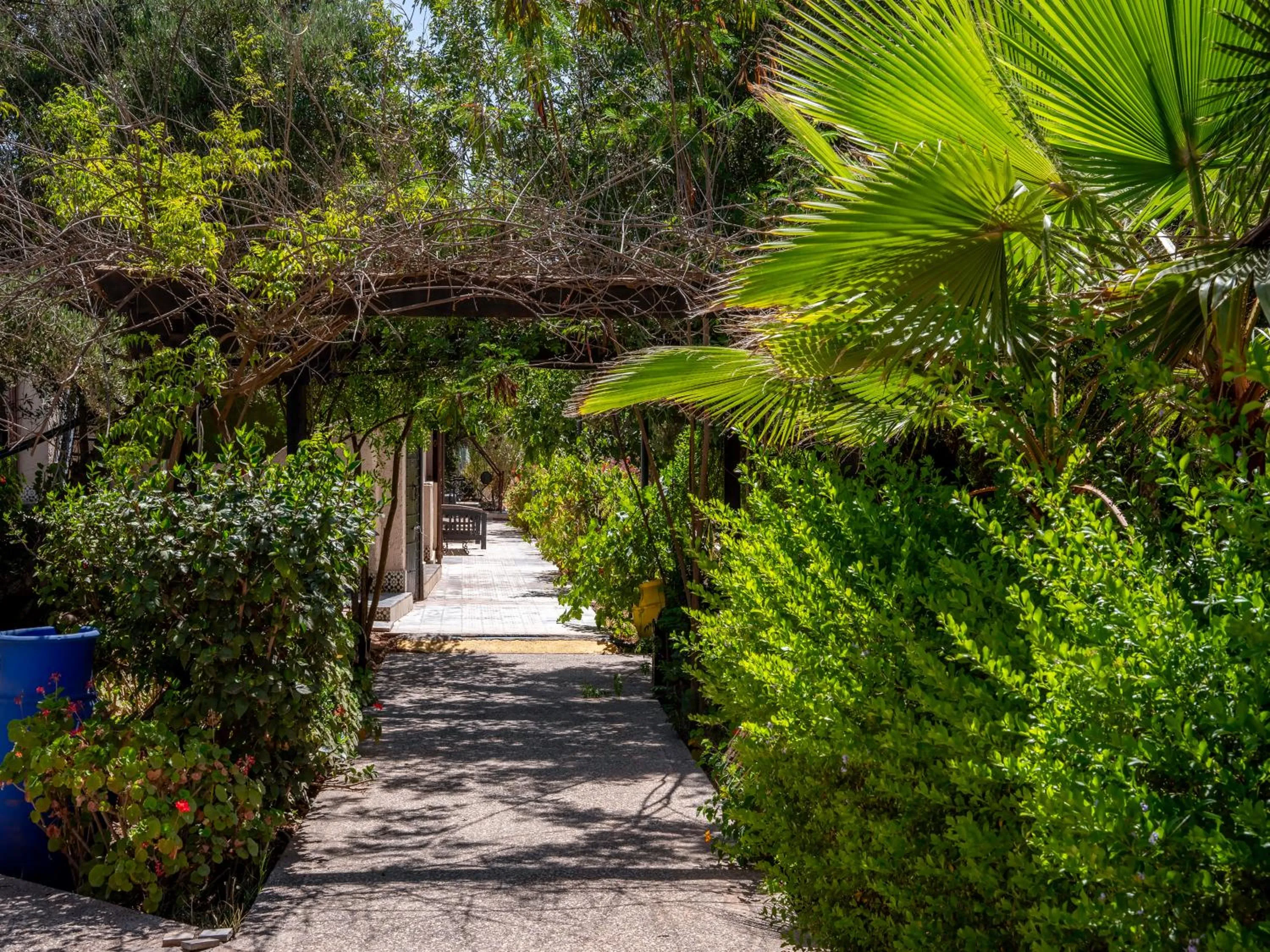 Natural landscape in Clé De Sol Riad & SPA