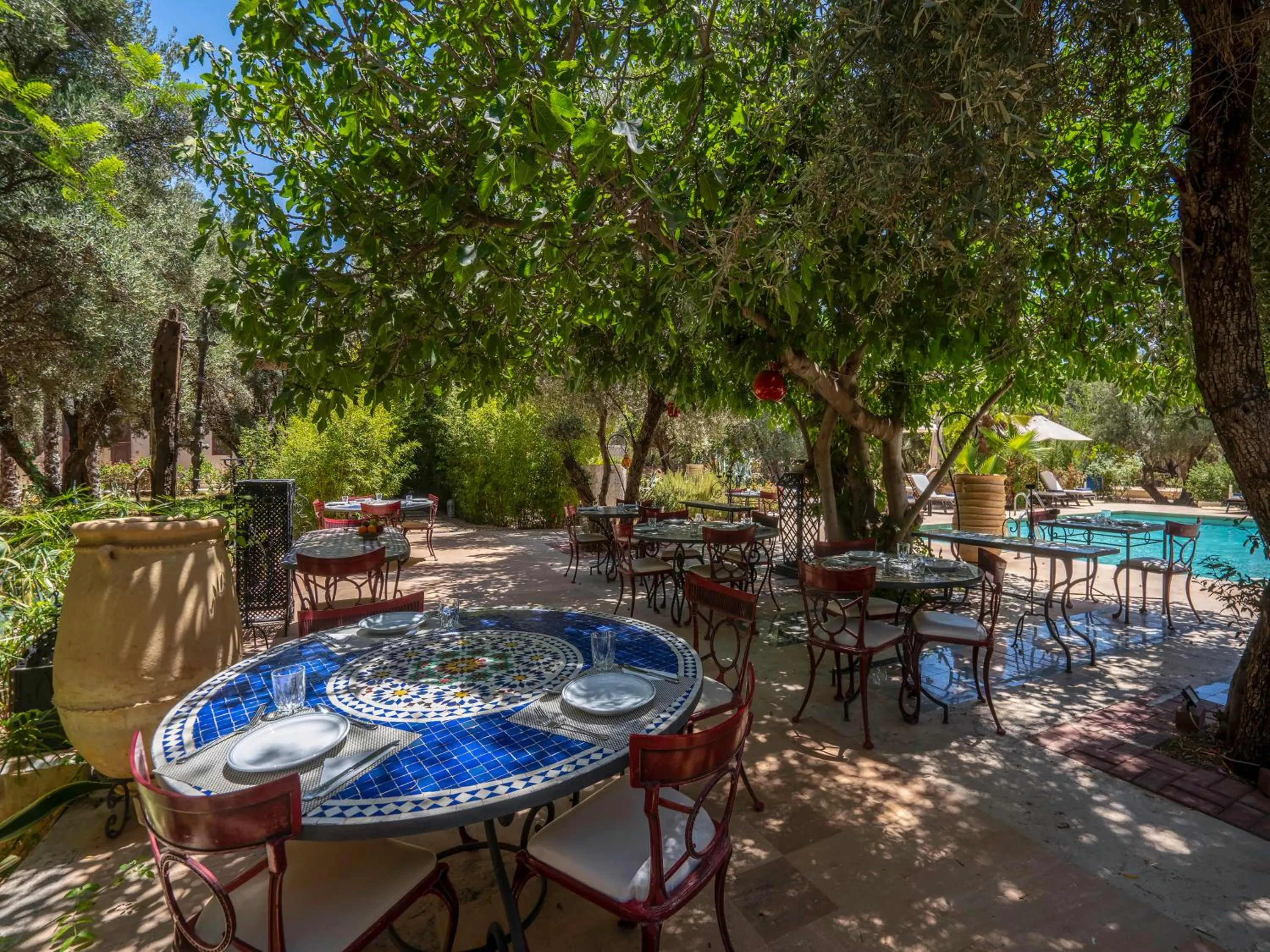 Spring in Clé De Sol Riad & SPA