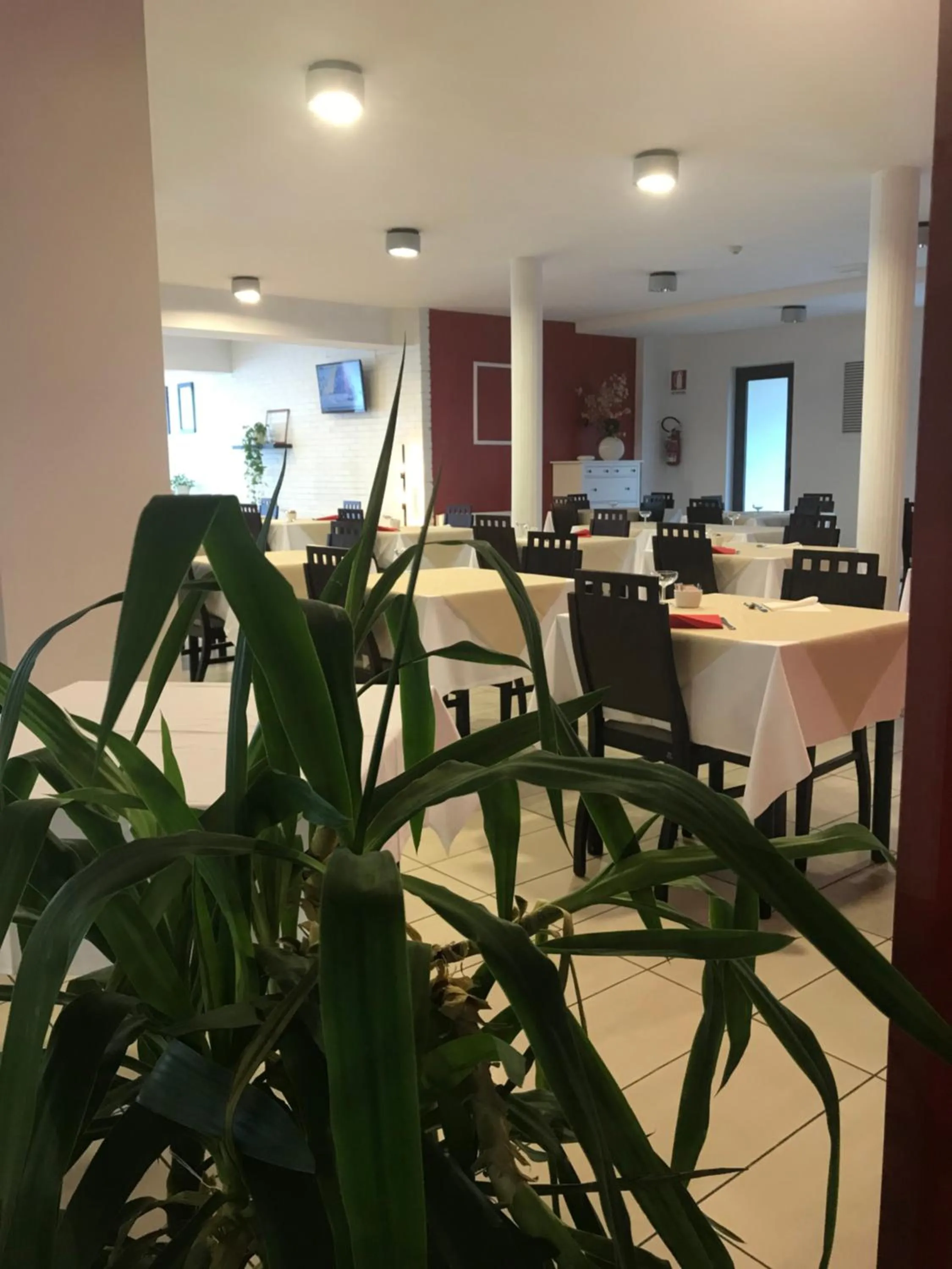 Restaurant/places to eat in Hotel Royal