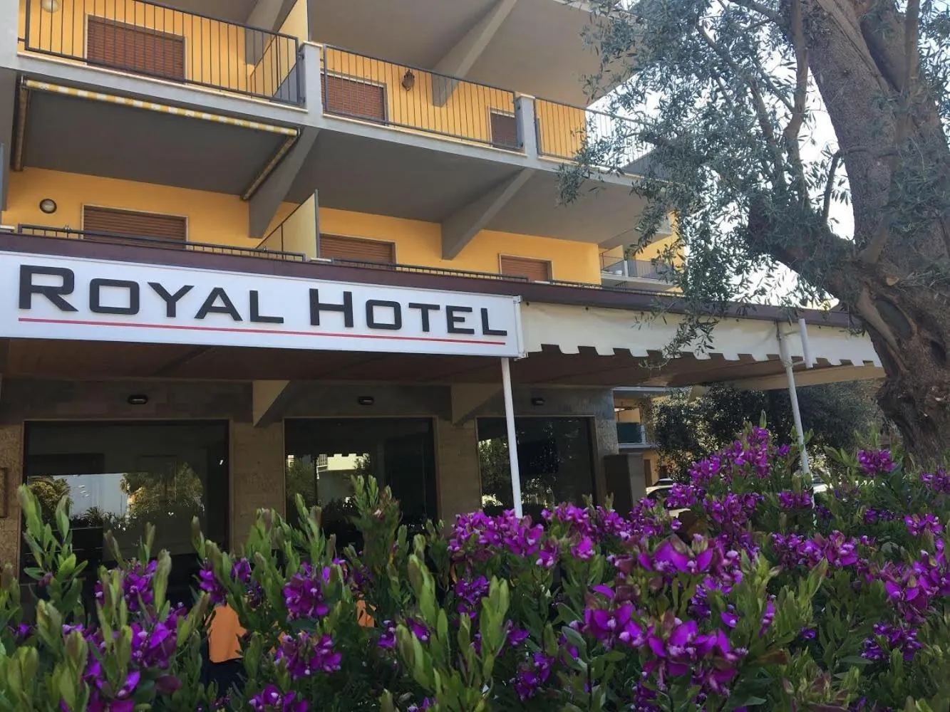 Facade/entrance in Hotel Royal