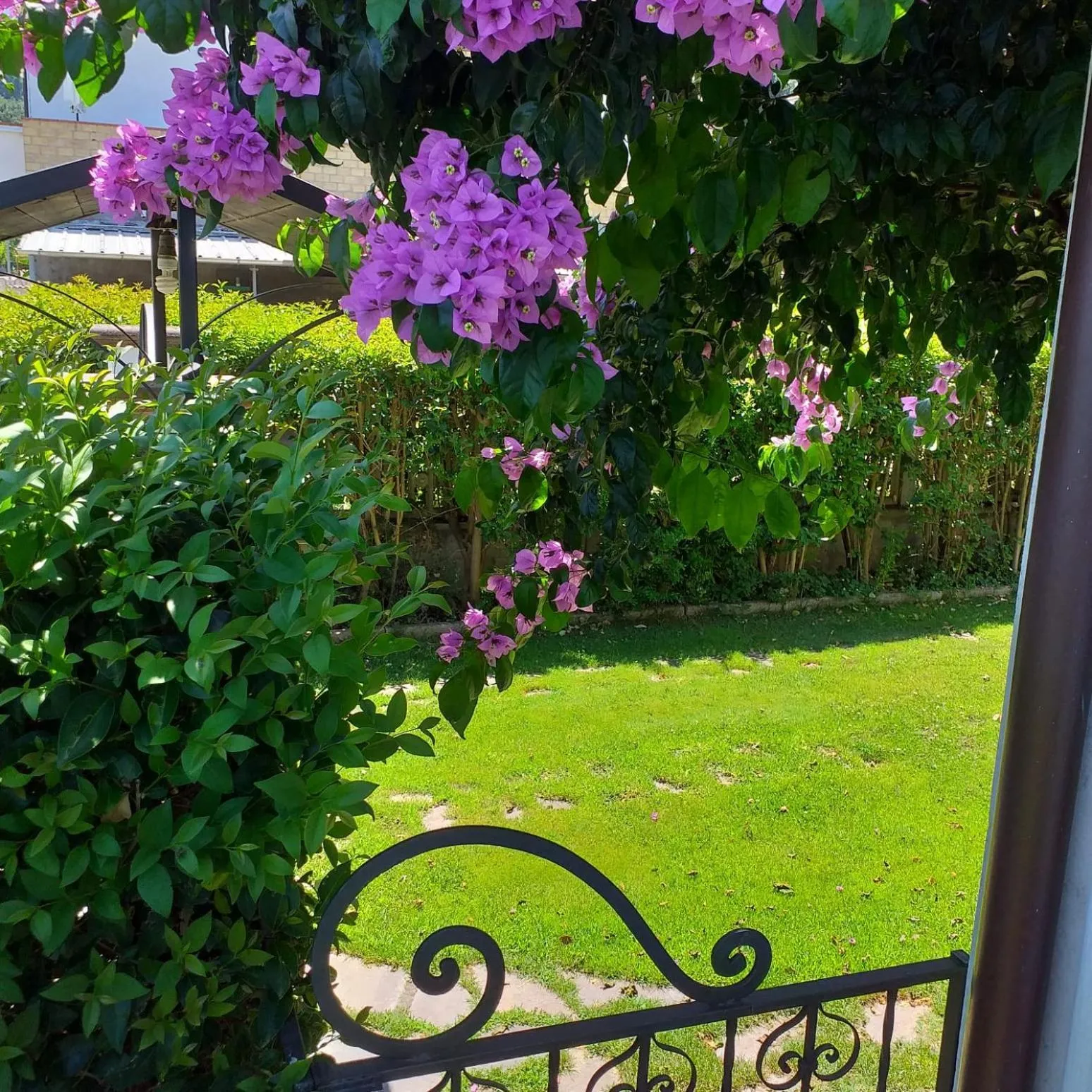 La Bouganville di Sante e Rosa