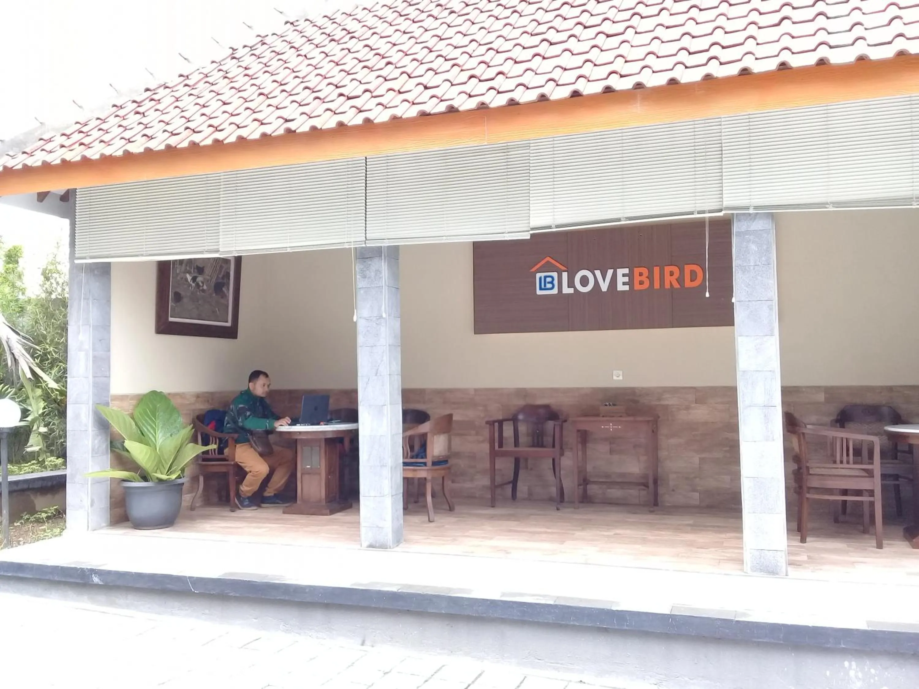 Wisma Lovebird