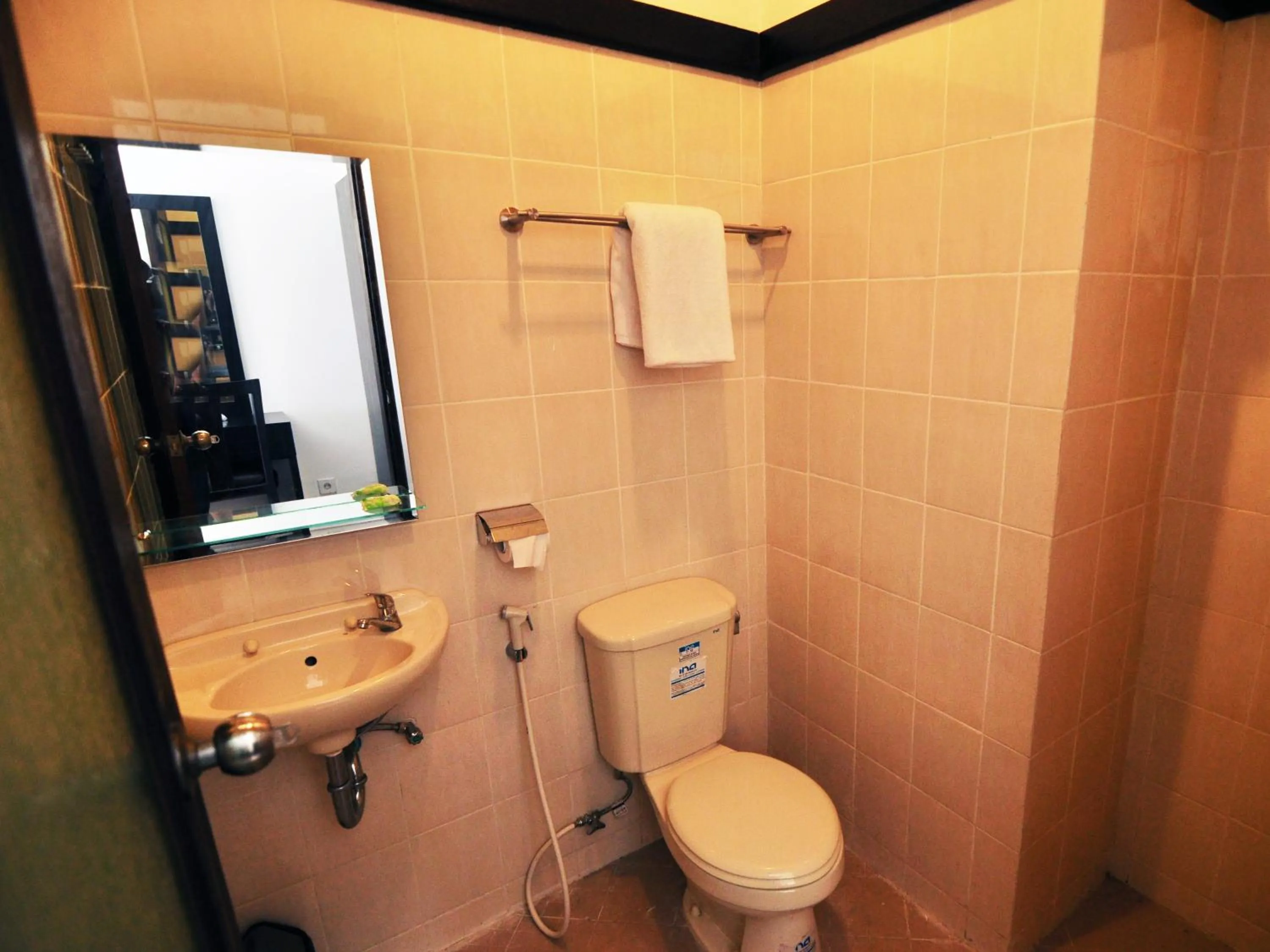 Shower in Jesens Inn II