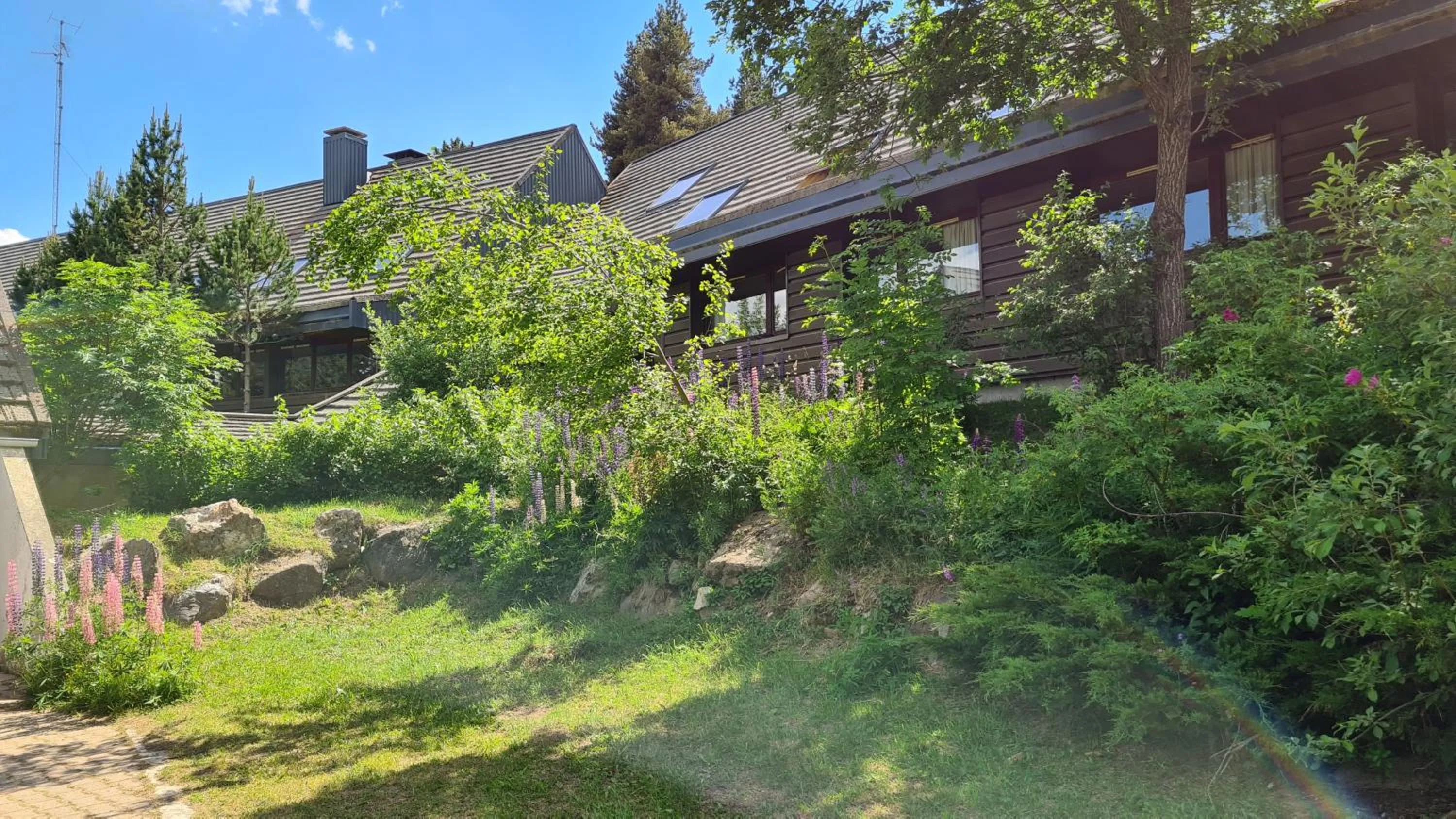 Property building in Le Chalet du Ticou