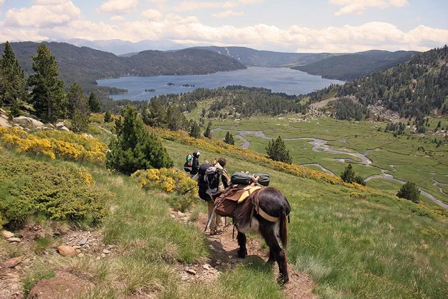 Activities in Le Chalet du Ticou