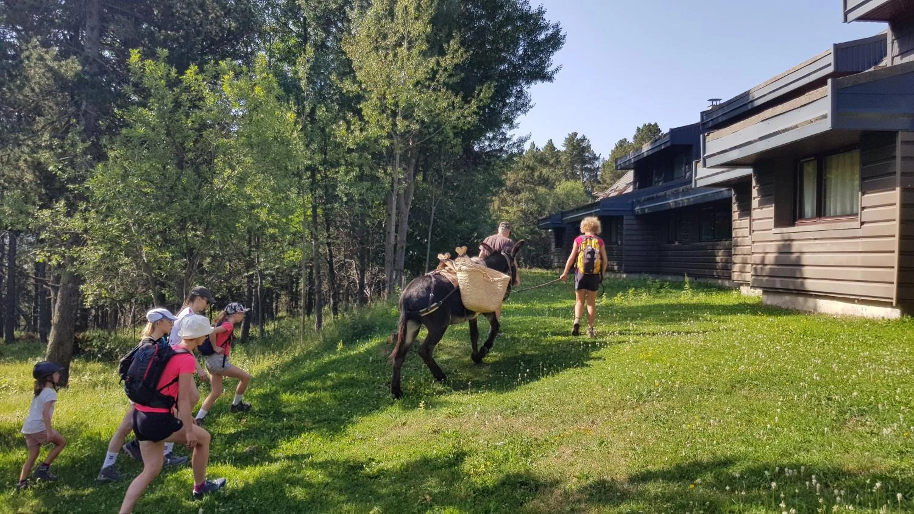 Property building in Le Chalet du Ticou