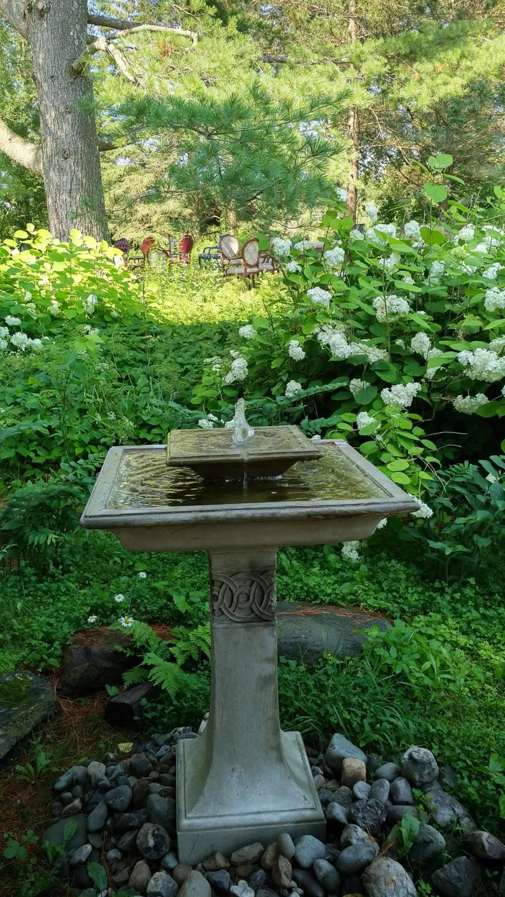 Garden view in Domaine Dorchamps