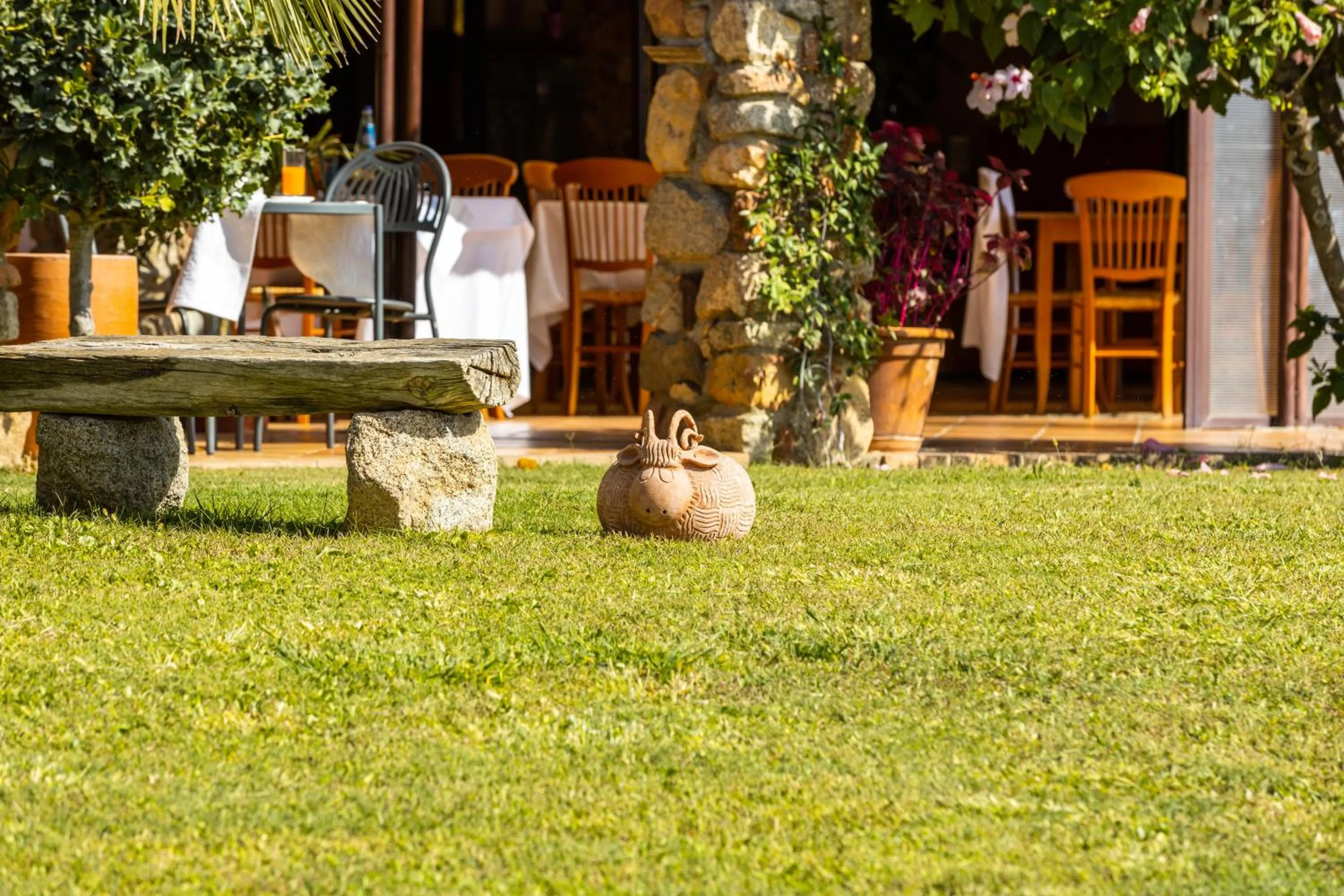 Garden in Hotel Janas