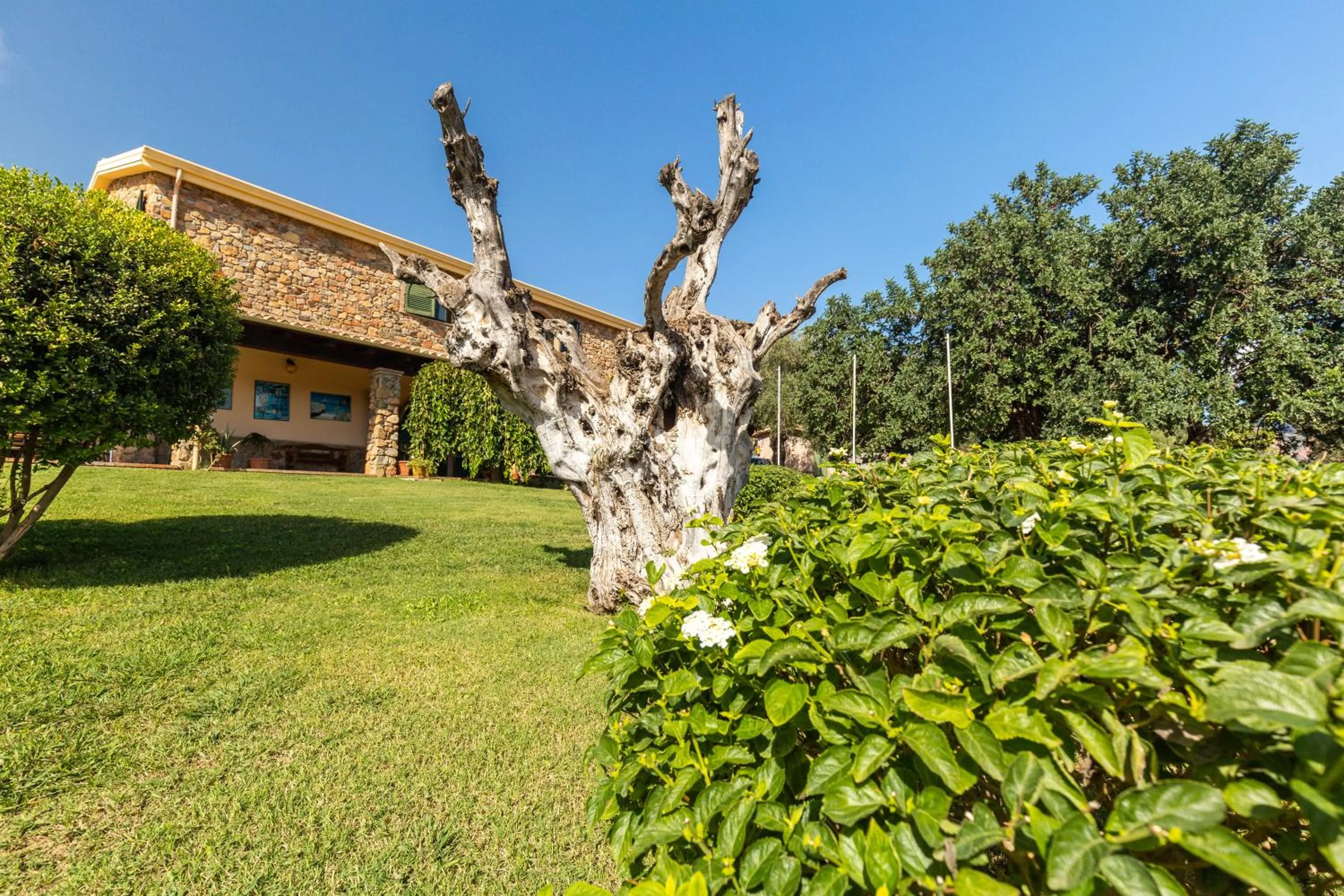 Garden in Hotel Janas