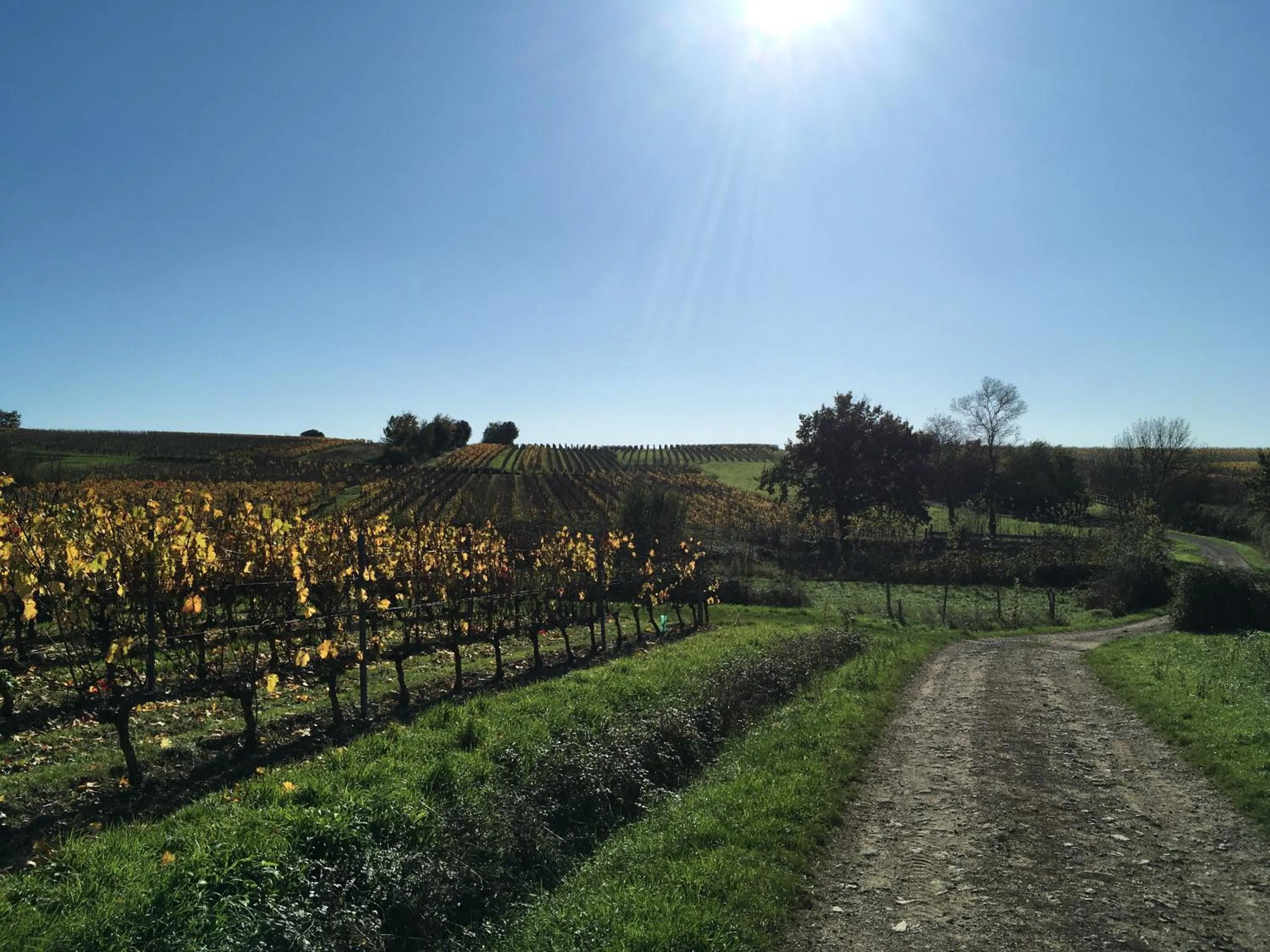 Natural landscape in La Maison Haute