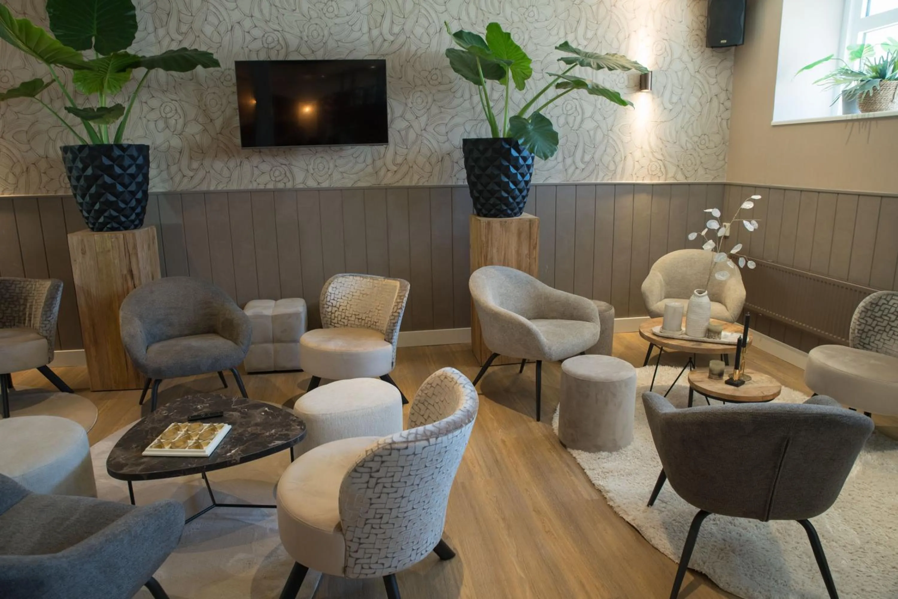 TV and multimedia in The BLOOM